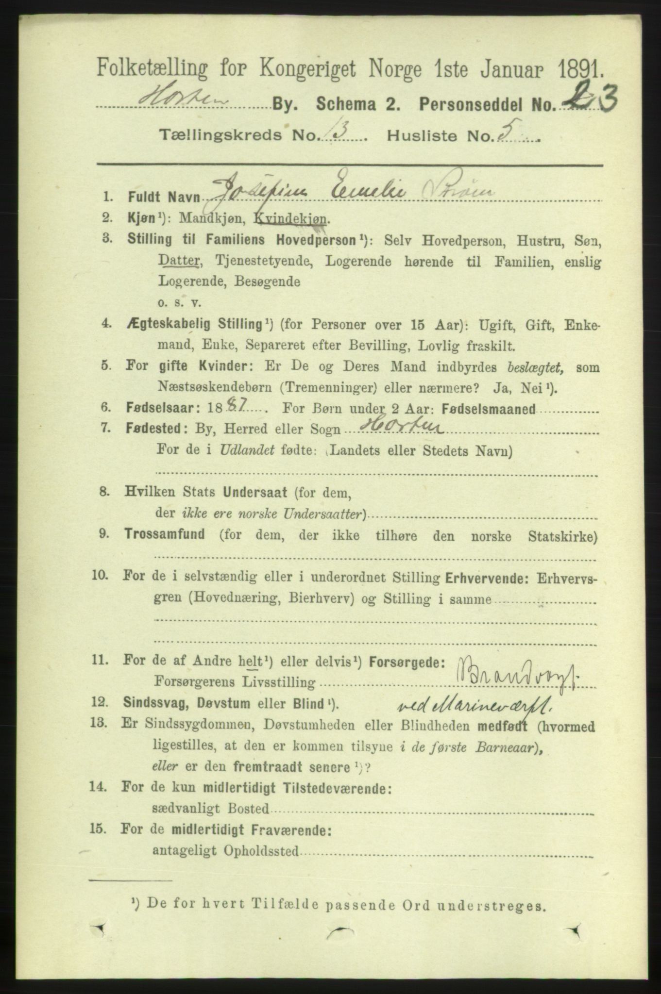 RA, 1891 census for 0703 Horten, 1891, p. 8228