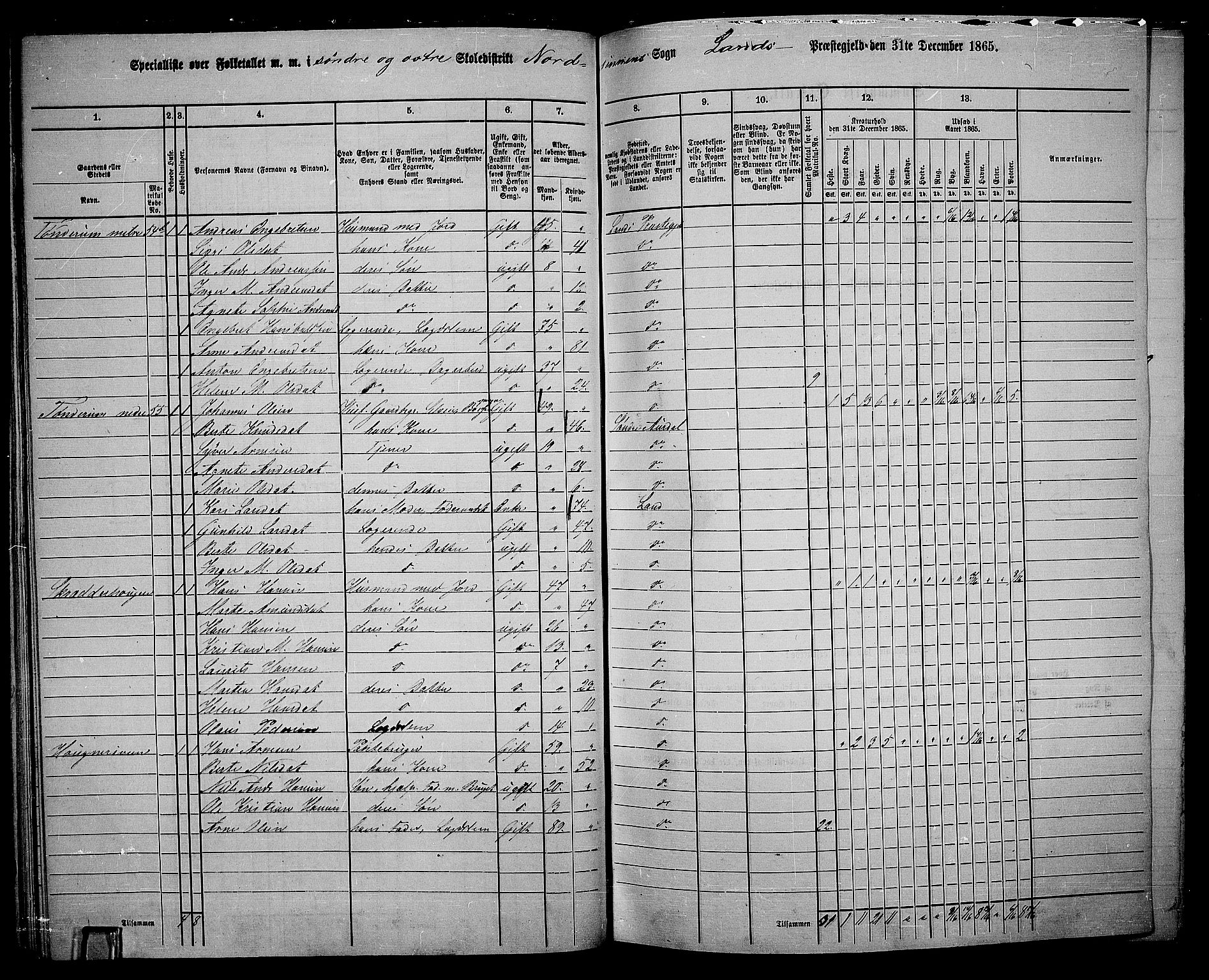 RA, 1865 census for Land, 1865, p. 57