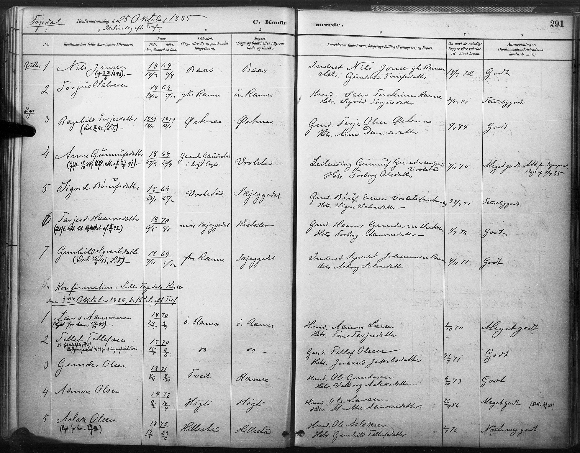 Åmli sokneprestkontor, AV/SAK-1111-0050/F/Fa/Fac/L0010: Parish register (official) no. A 10 /3, 1885-1899, p. 291