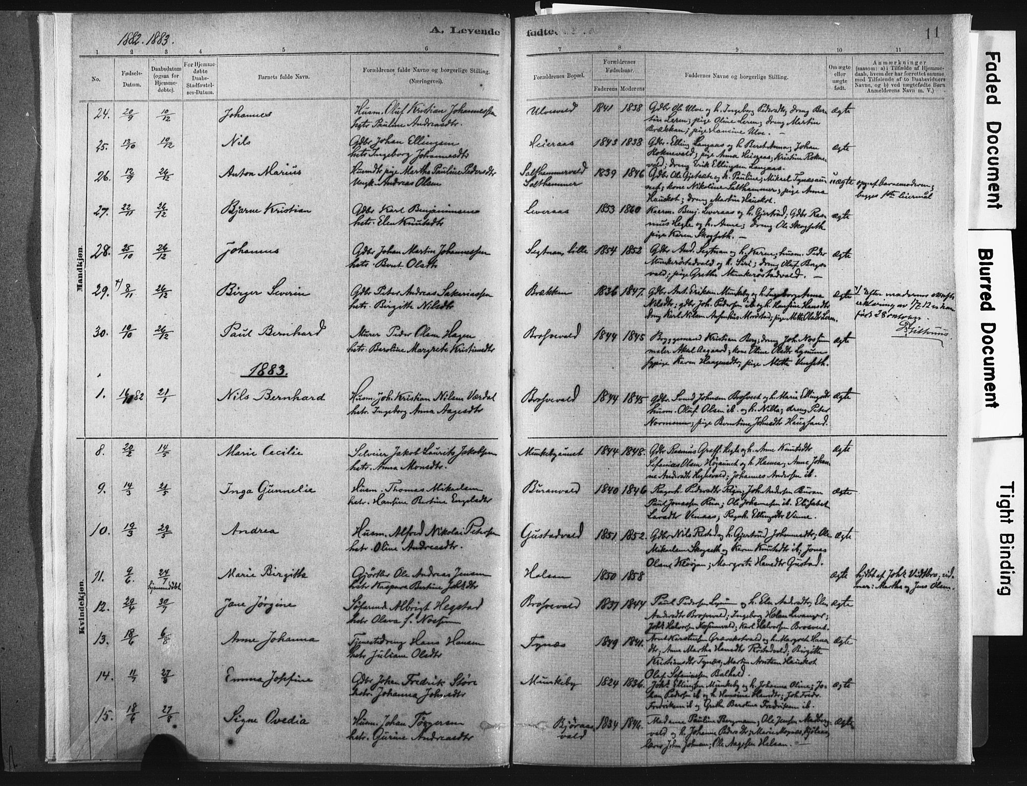 Ministerialprotokoller, klokkerbøker og fødselsregistre - Nord-Trøndelag, SAT/A-1458/721/L0207: Parish register (official) no. 721A02, 1880-1911, p. 11