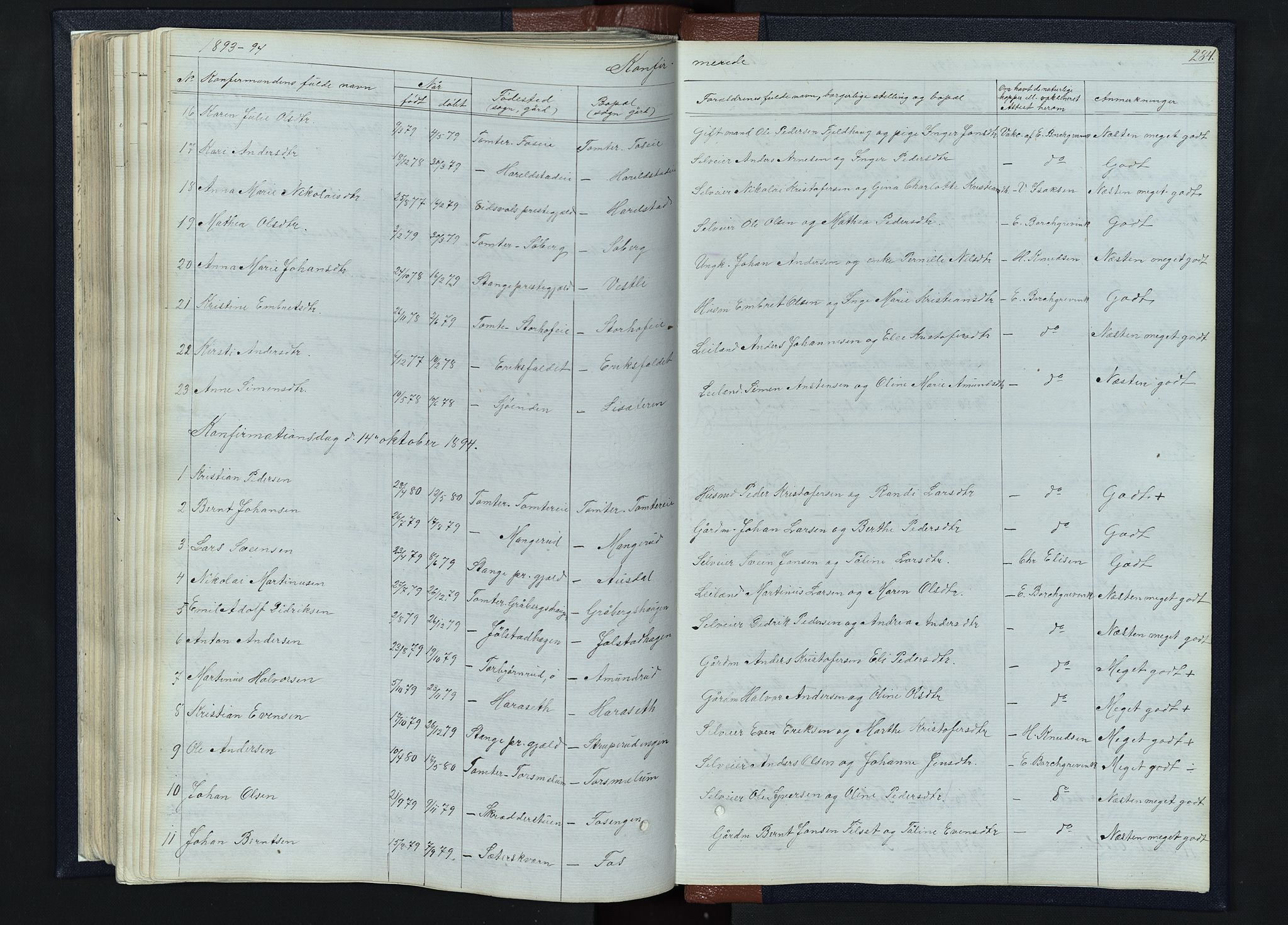 Romedal prestekontor, SAH/PREST-004/L/L0010: Parish register (copy) no. 10, 1860-1895, p. 284