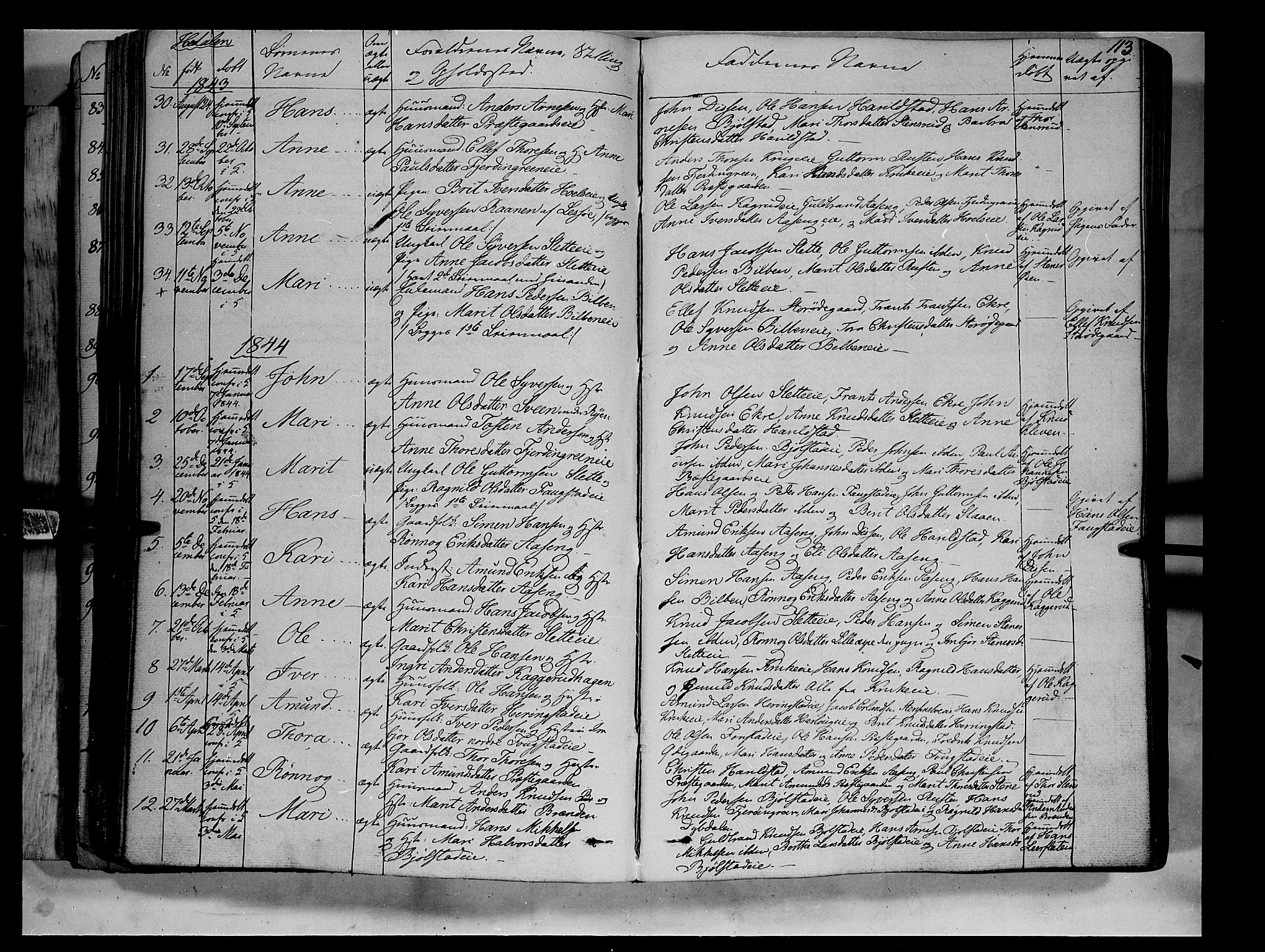 Vågå prestekontor, SAH/PREST-076/H/Ha/Haa/L0005: Parish register (official) no. 5 /2, 1842-1856, p. 113