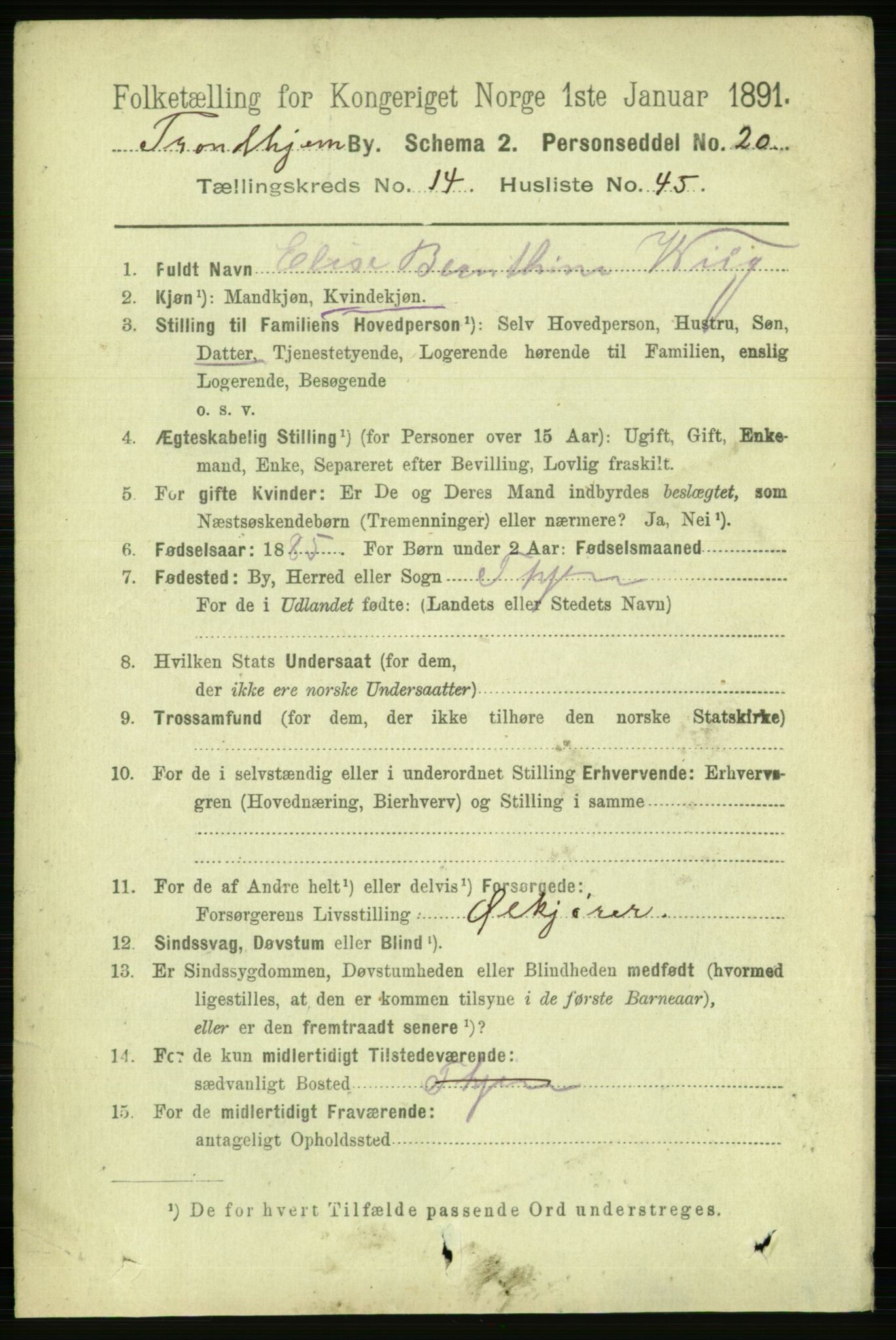 RA, 1891 census for 1601 Trondheim, 1891, p. 11569