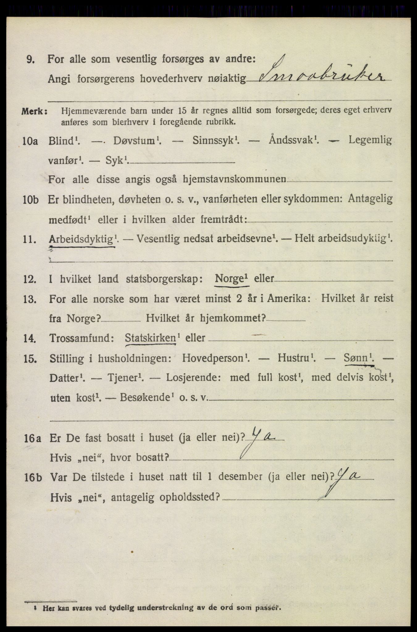 SAH, 1920 census for Brandval, 1920, p. 9491