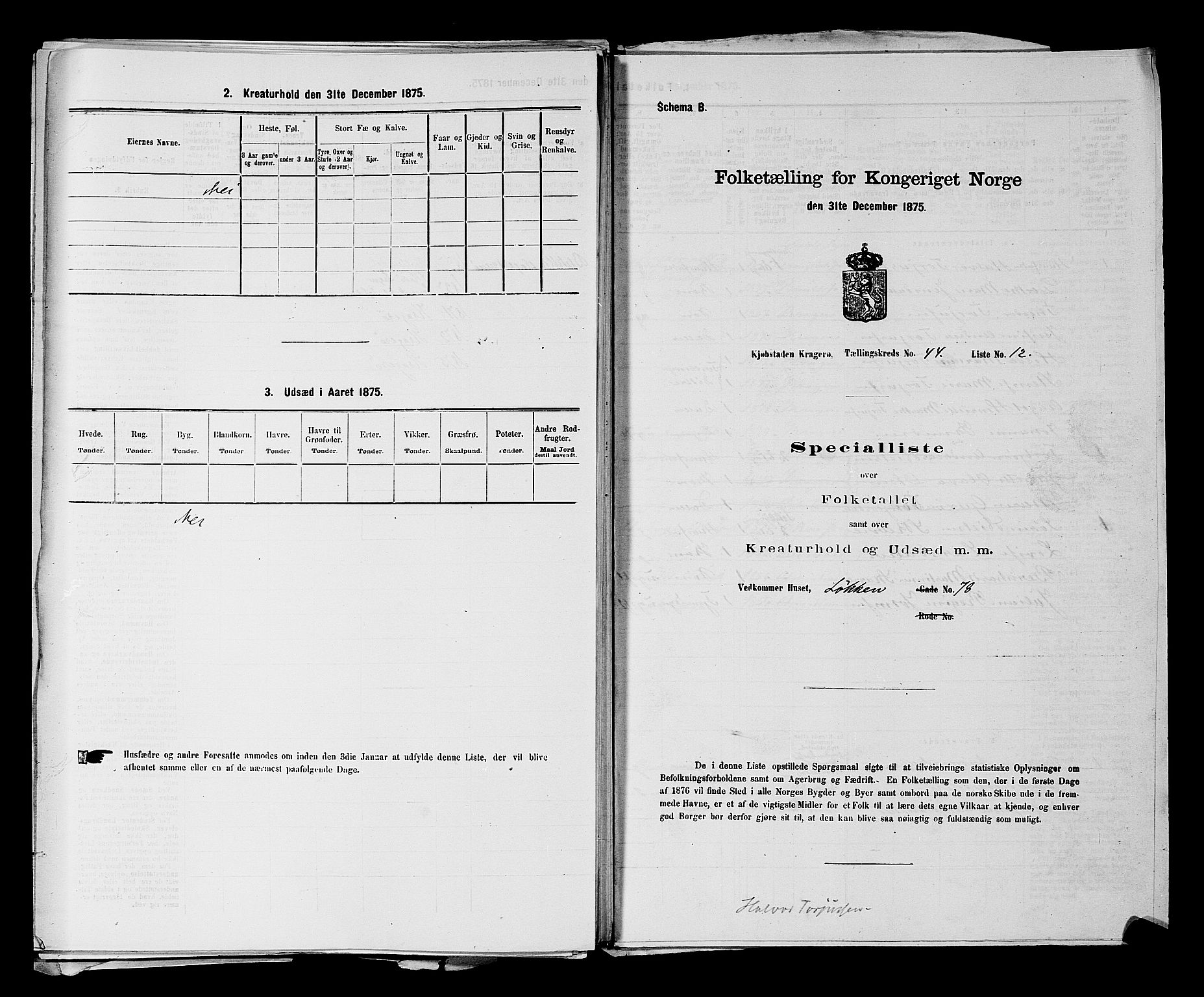 SAKO, 1875 census for 0801P Kragerø, 1875, p. 986