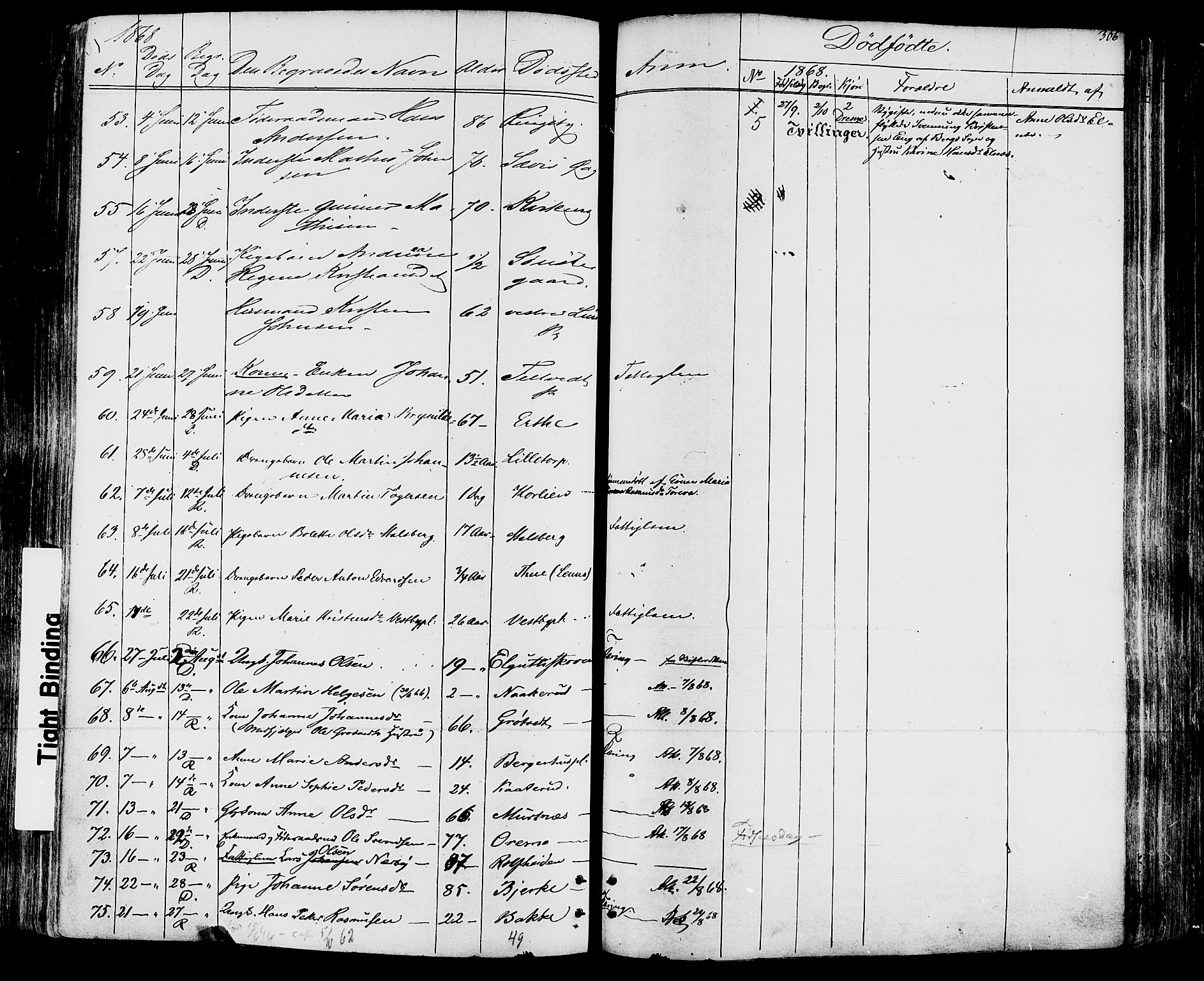 Rakkestad prestekontor Kirkebøker, AV/SAO-A-2008/F/Fa/L0011: Parish register (official) no. I 11, 1862-1877, p. 366