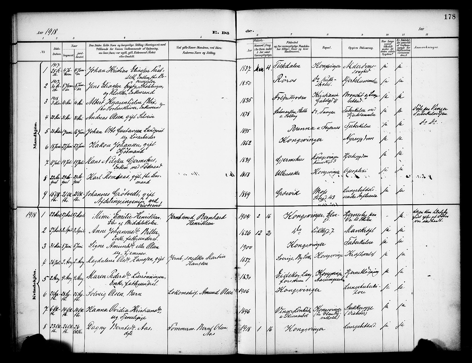 Vinger prestekontor, AV/SAH-PREST-024/H/Ha/Haa/L0016: Parish register (official) no. 16, 1898-1920, p. 178