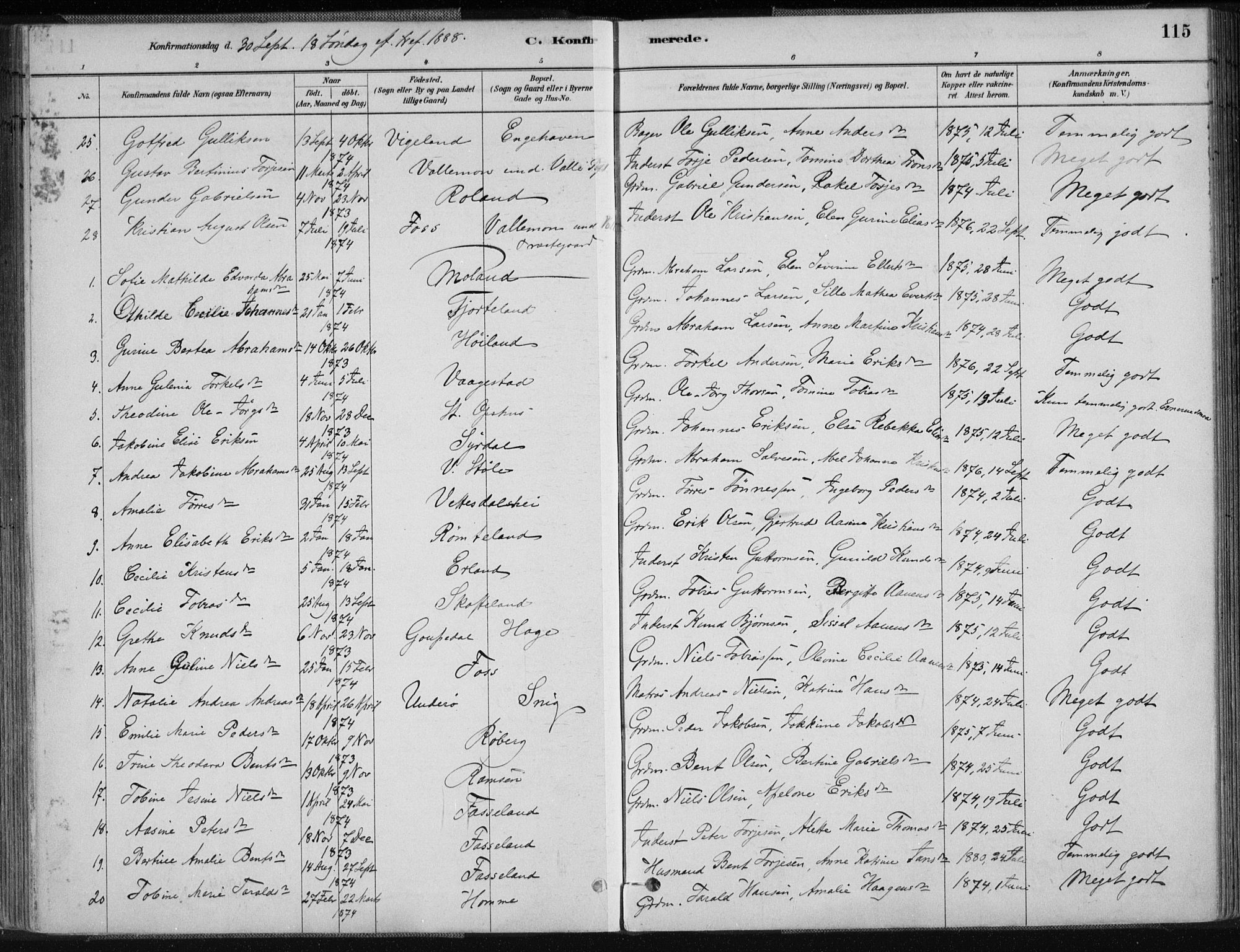 Sør-Audnedal sokneprestkontor, AV/SAK-1111-0039/F/Fa/Fab/L0009: Parish register (official) no. A 9, 1880-1895, p. 115