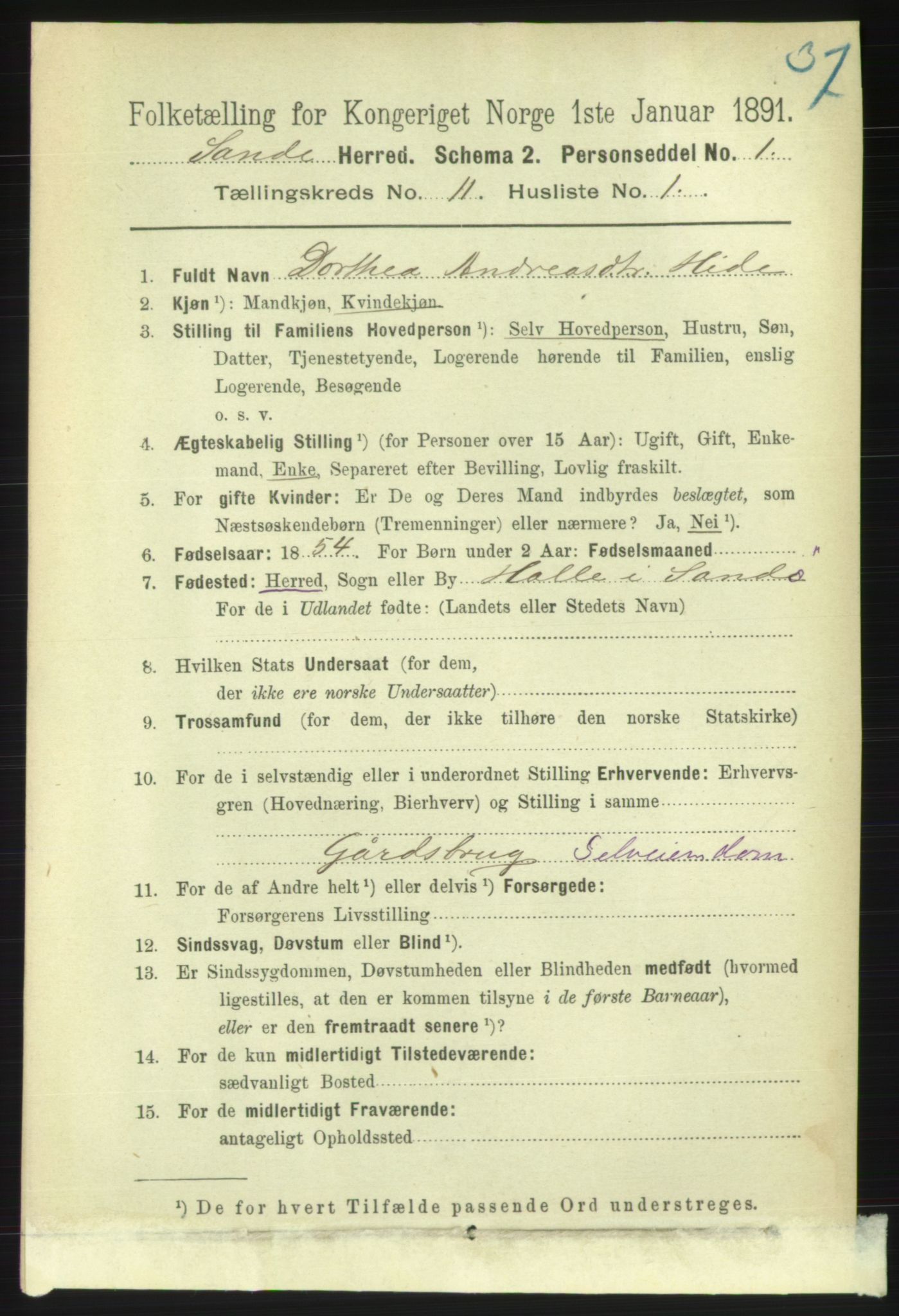 RA, 1891 census for 1514 Sande, 1891, p. 1965