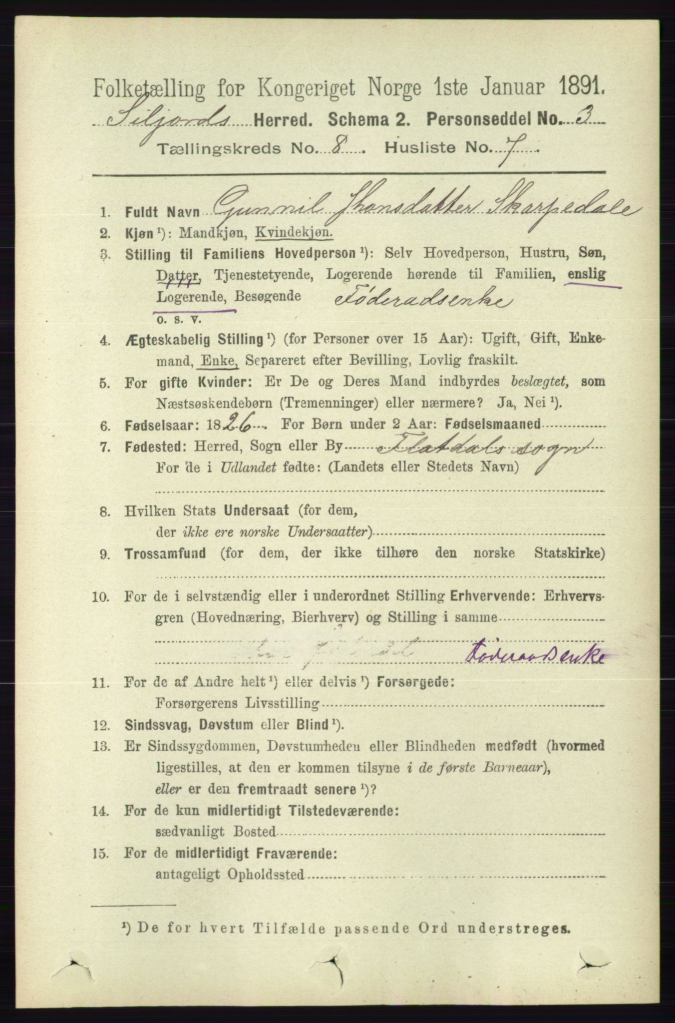 RA, 1891 census for 0828 Seljord, 1891, p. 2910