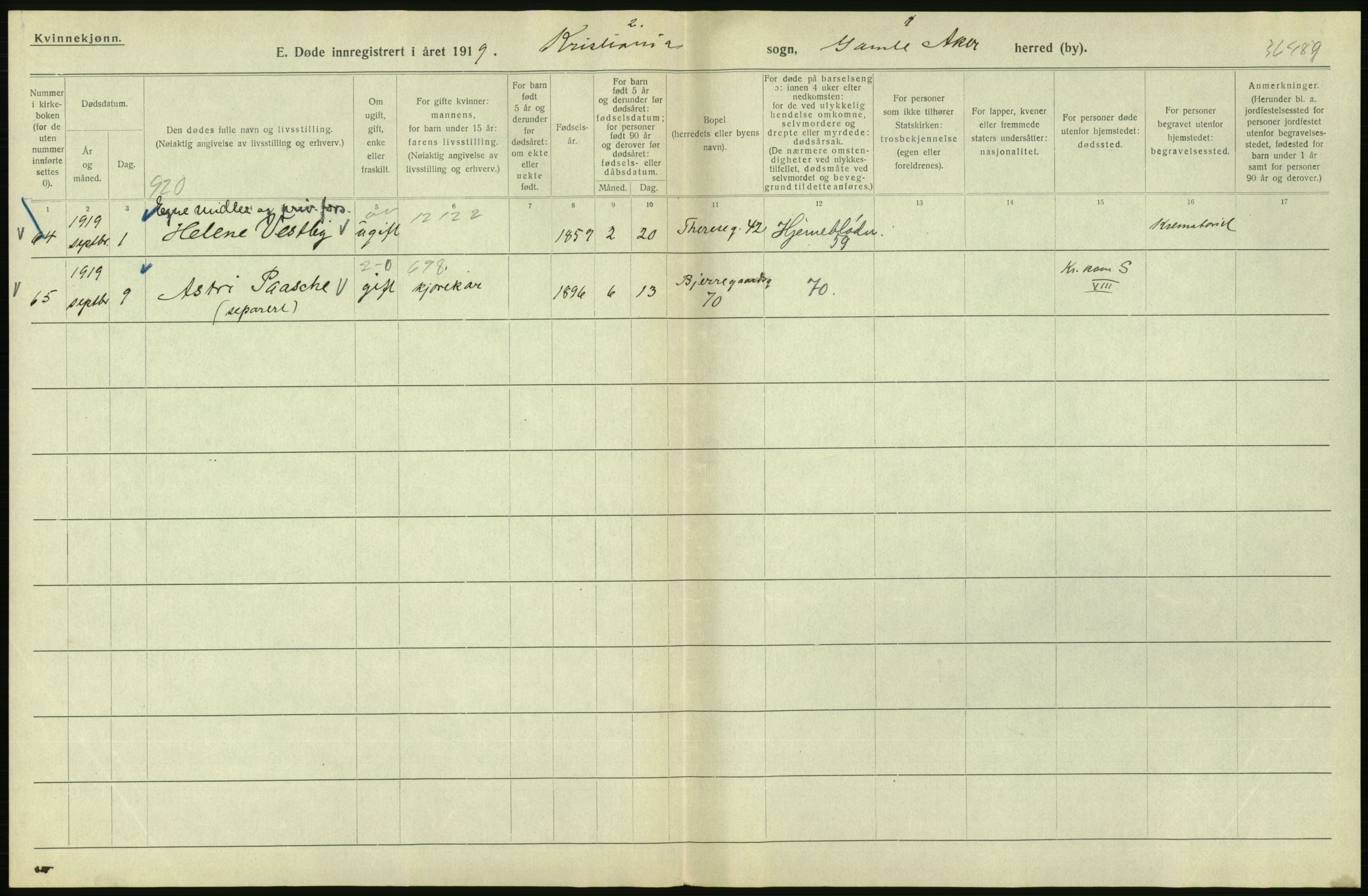 Statistisk sentralbyrå, Sosiodemografiske emner, Befolkning, AV/RA-S-2228/D/Df/Dfb/Dfbi/L0011: Kristiania: Døde, dødfødte, 1919