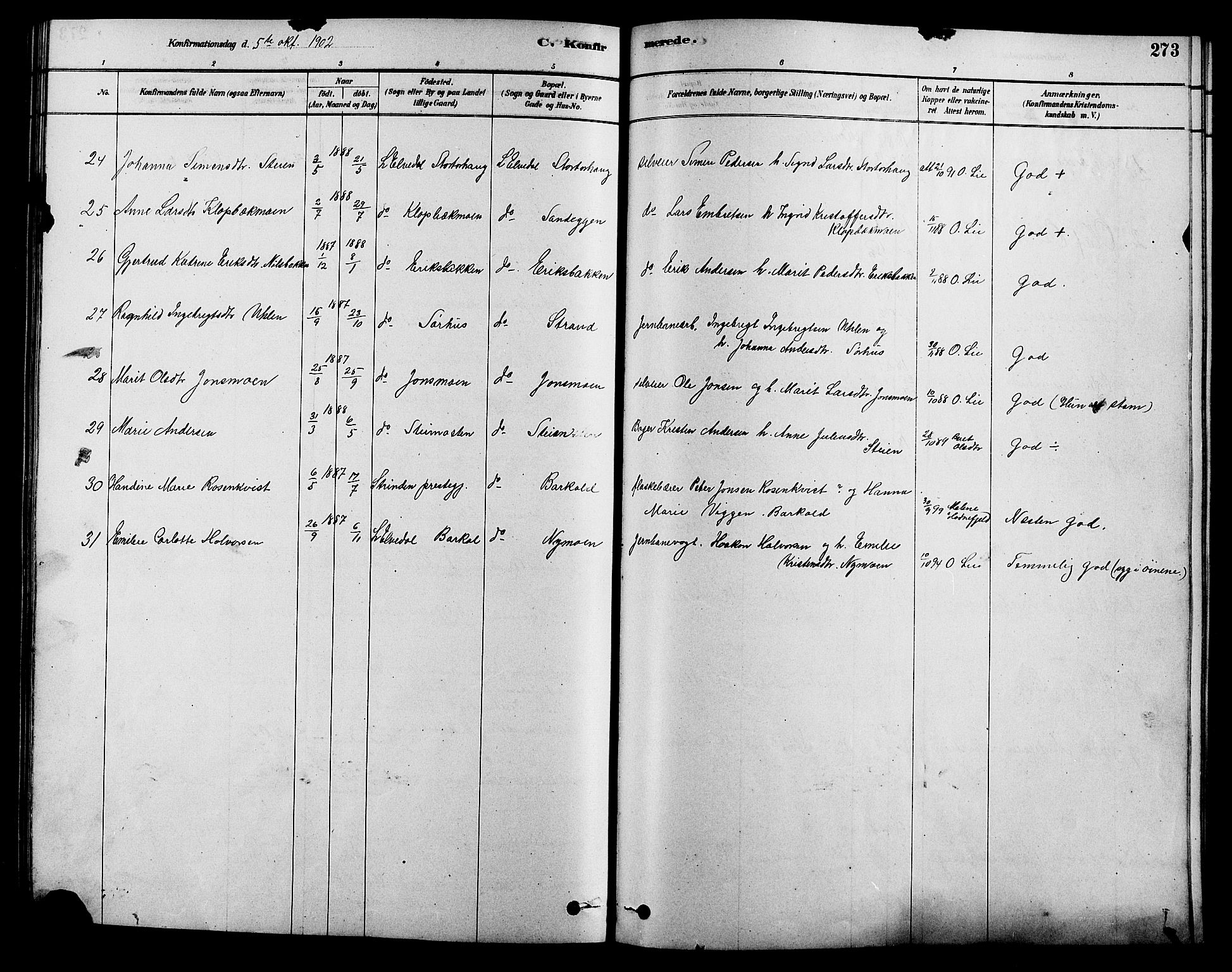 Alvdal prestekontor, SAH/PREST-060/H/Ha/Hab/L0003: Parish register (copy) no. 3, 1878-1907, p. 273
