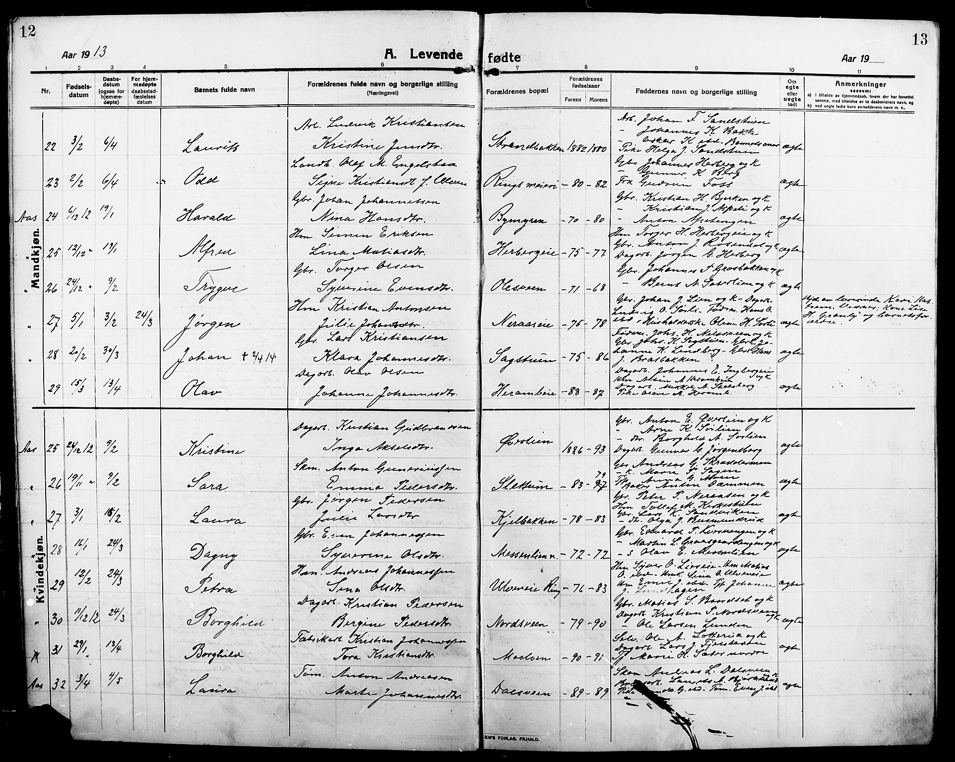 Ringsaker prestekontor, AV/SAH-PREST-014/L/La/L0018: Parish register (copy) no. 18, 1913-1922, p. 12-13