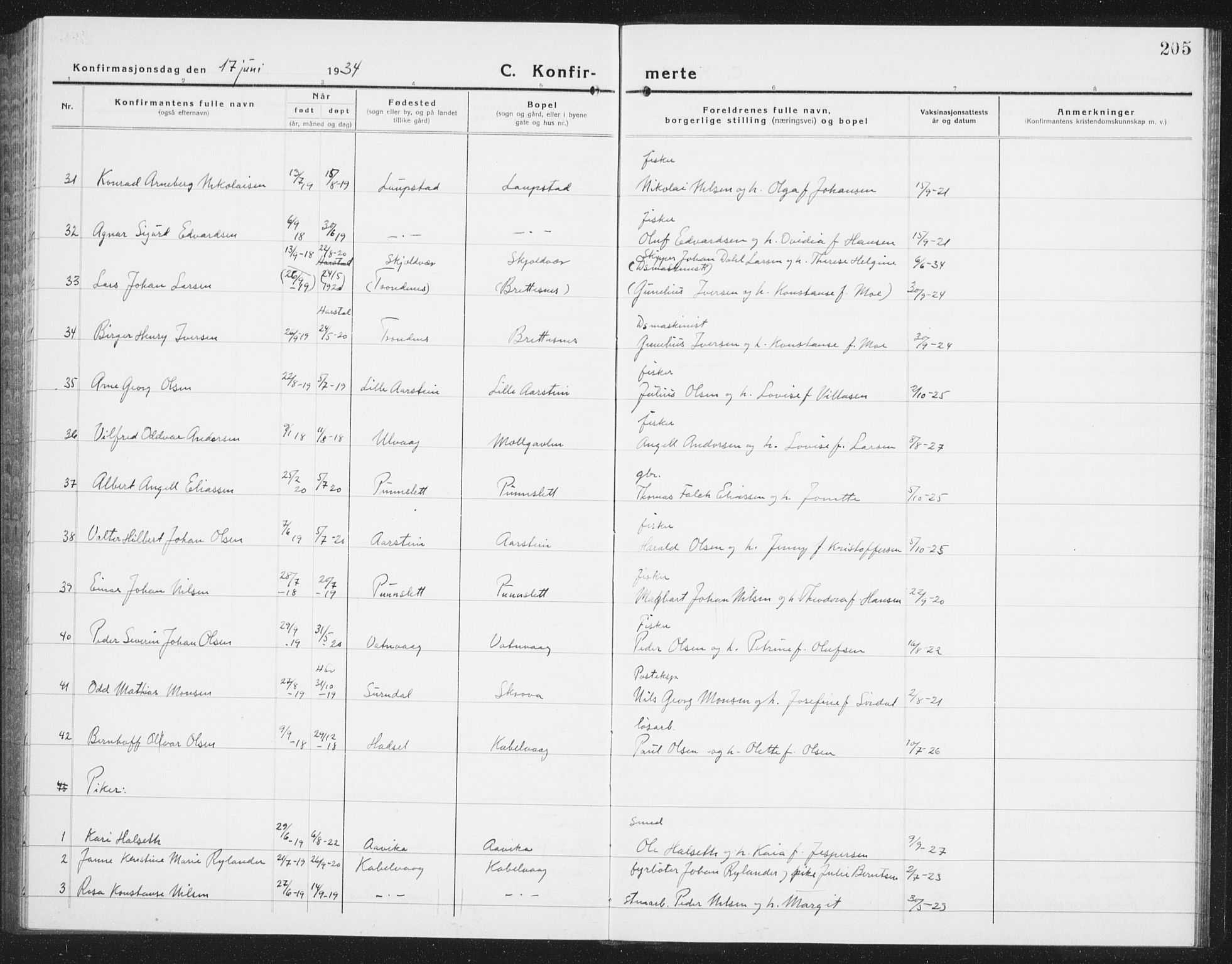 Ministerialprotokoller, klokkerbøker og fødselsregistre - Nordland, AV/SAT-A-1459/874/L1081: Parish register (copy) no. 874C10, 1925-1941, p. 205