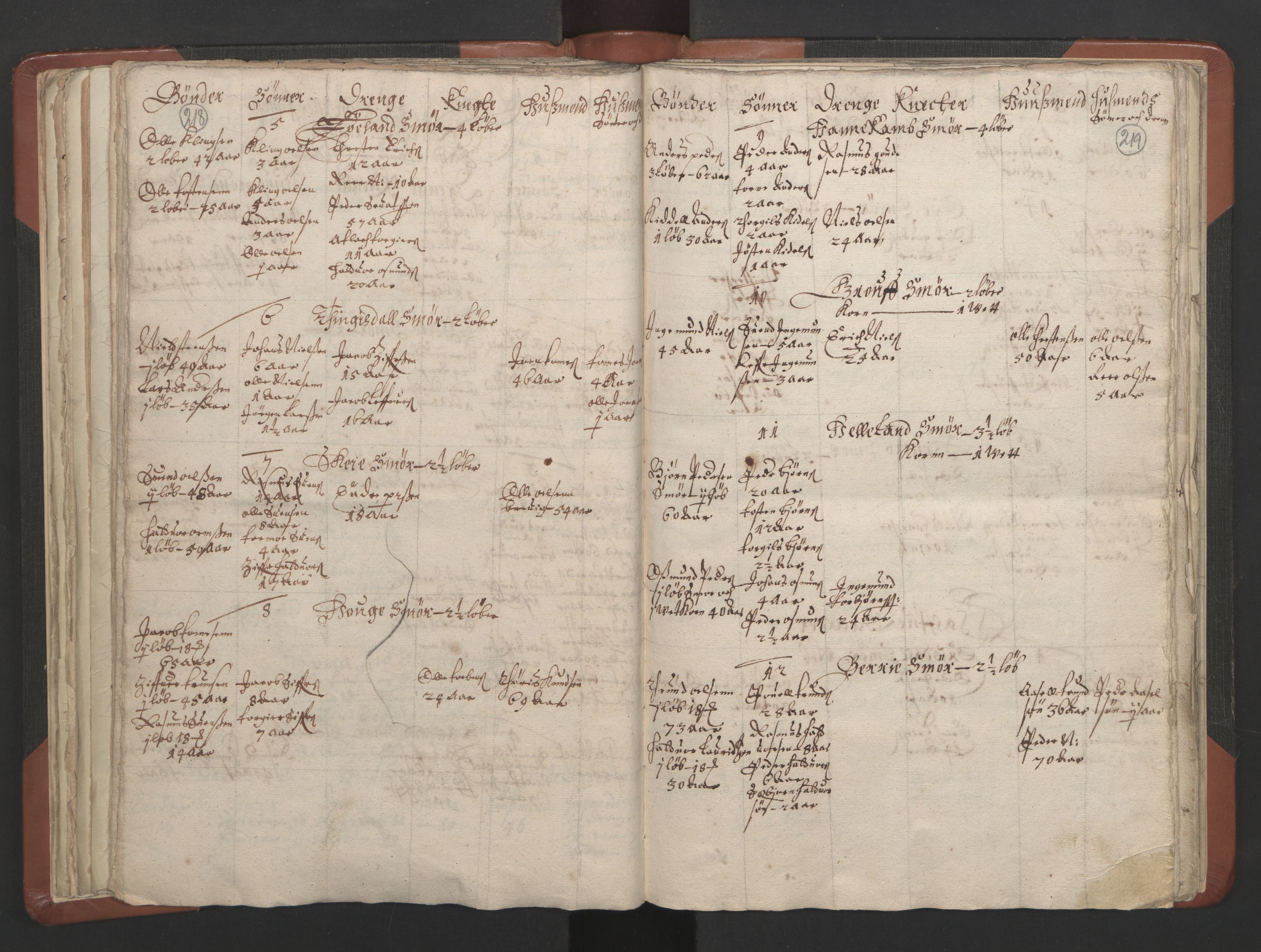 RA, Vicar's Census 1664-1666, no. 19: Ryfylke deanery, 1664-1666, p. 218-219