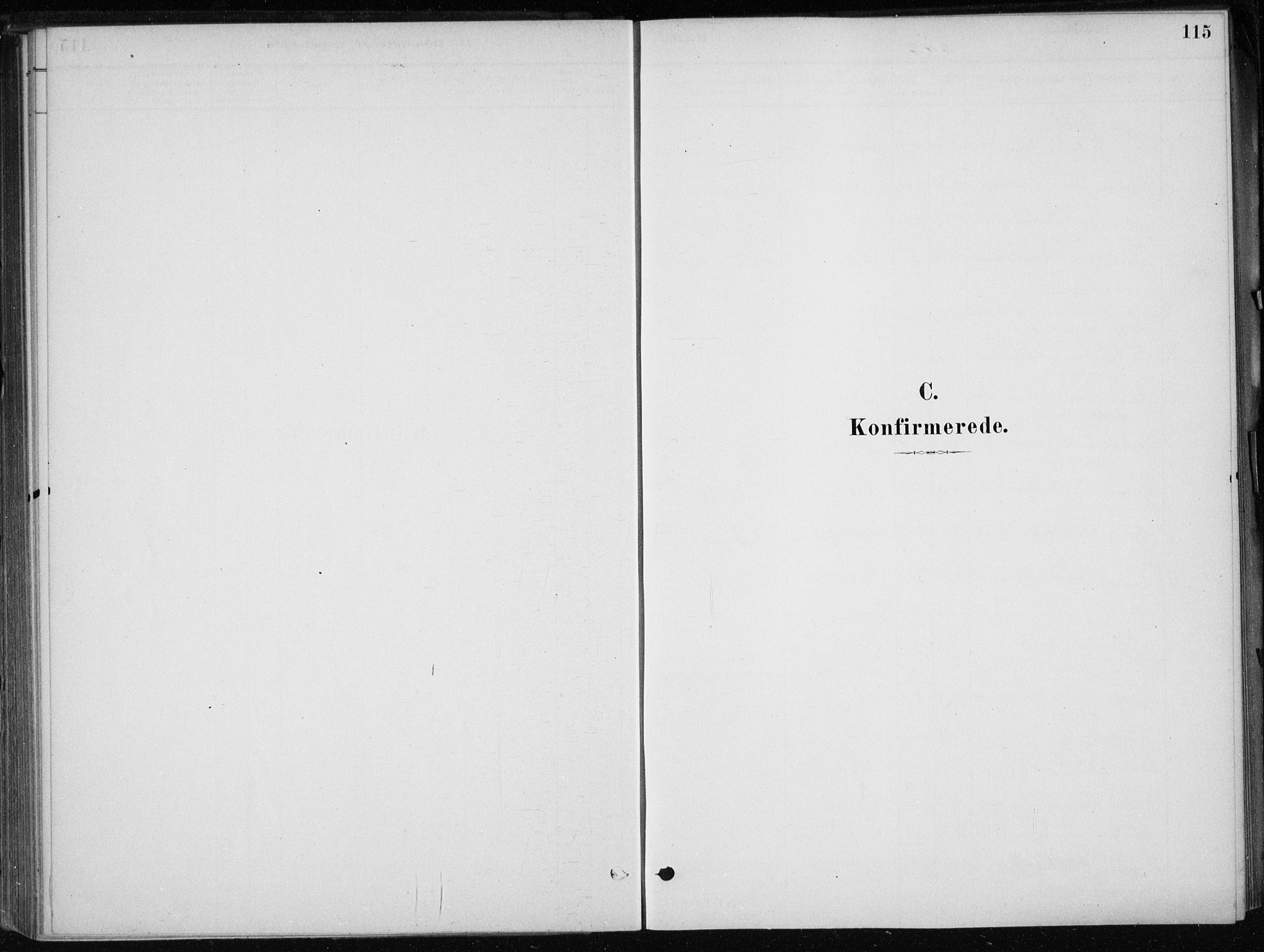 Skånevik sokneprestembete, AV/SAB-A-77801/H/Haa: Parish register (official) no. E  1, 1879-1901, p. 115