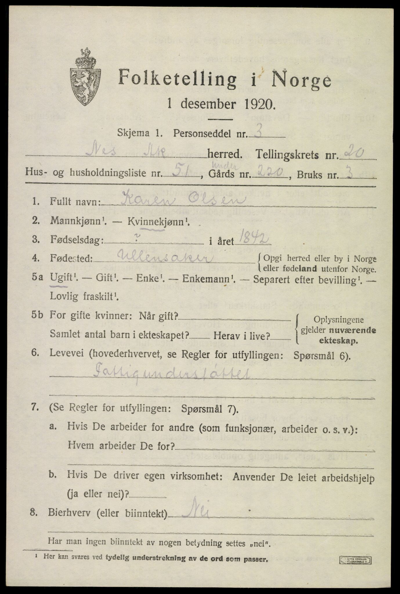 SAO, 1920 census for Nes, 1920, p. 21918