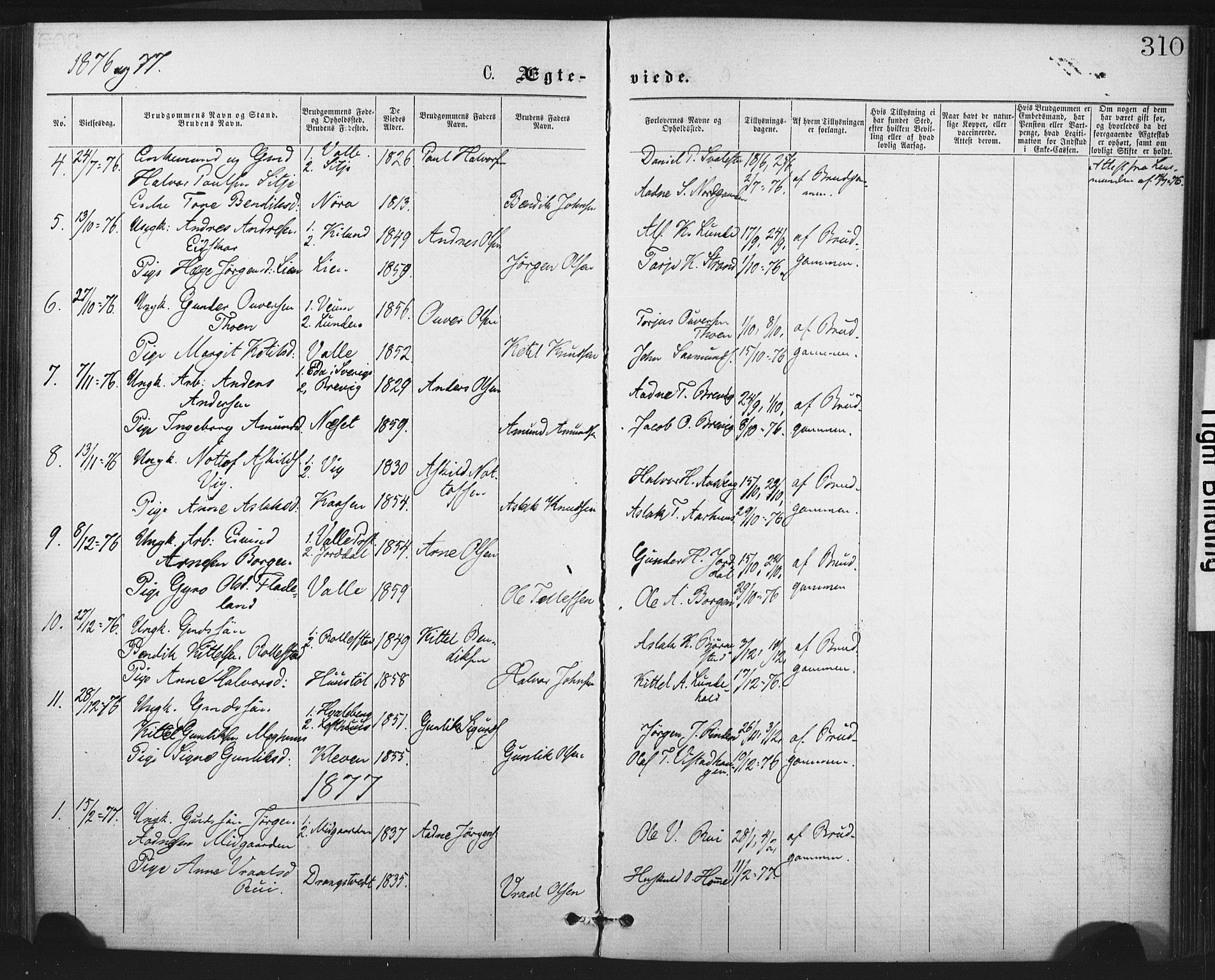 Fyresdal kirkebøker, SAKO/A-263/F/Fa/L0006: Parish register (official) no. I 6, 1872-1886, p. 310