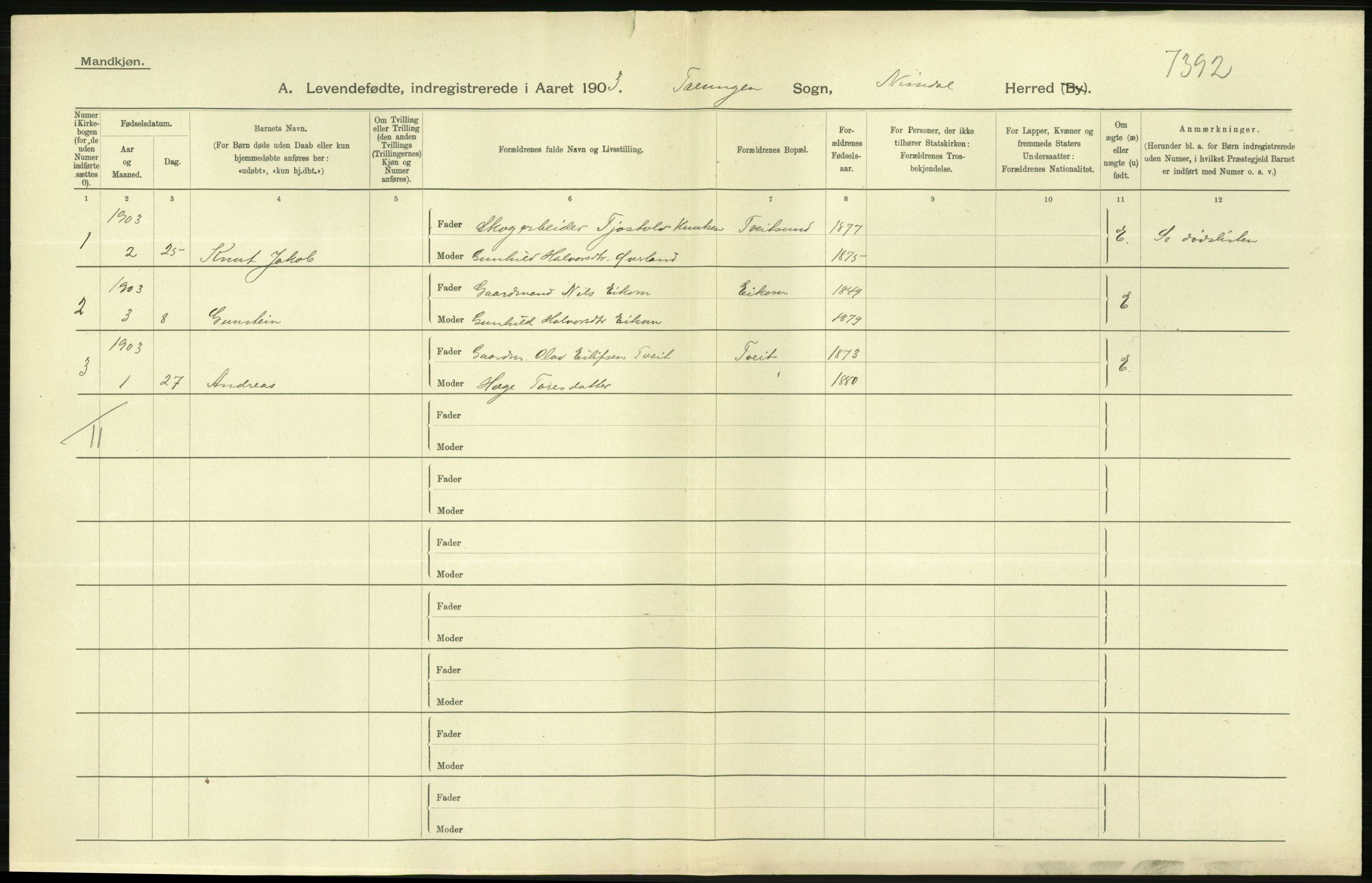 Statistisk sentralbyrå, Sosiodemografiske emner, Befolkning, RA/S-2228/D/Df/Dfa/Dfaa/L0009: Bratsberg amt: Fødte, gifte, døde, 1903, p. 40