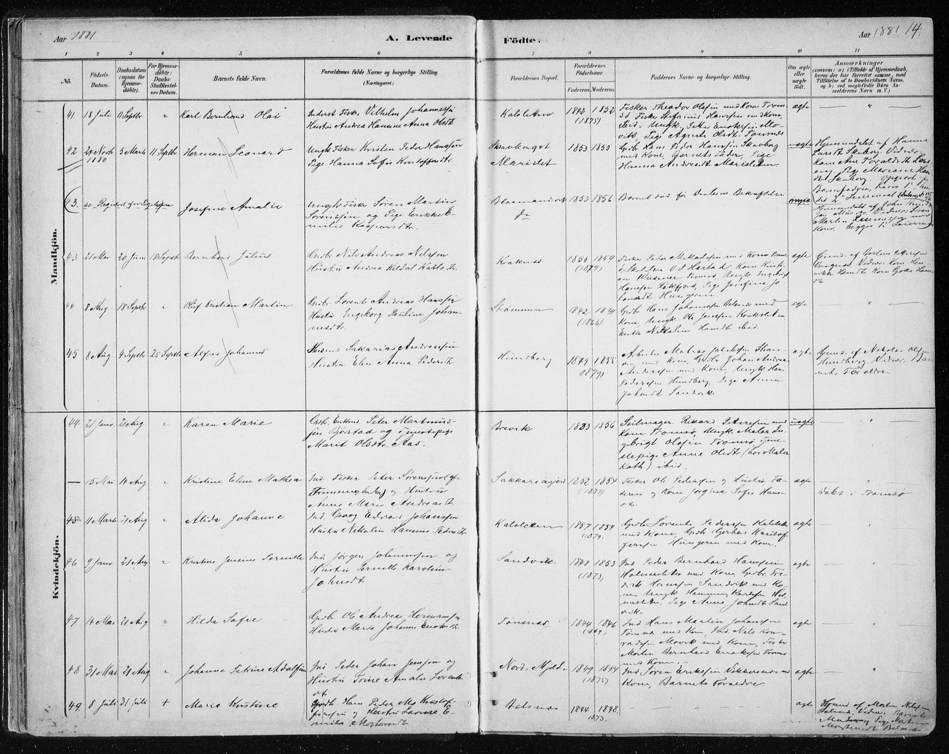 Tromsøysund sokneprestkontor, AV/SATØ-S-1304/G/Ga/L0004kirke: Parish register (official) no. 4, 1880-1888, p. 14