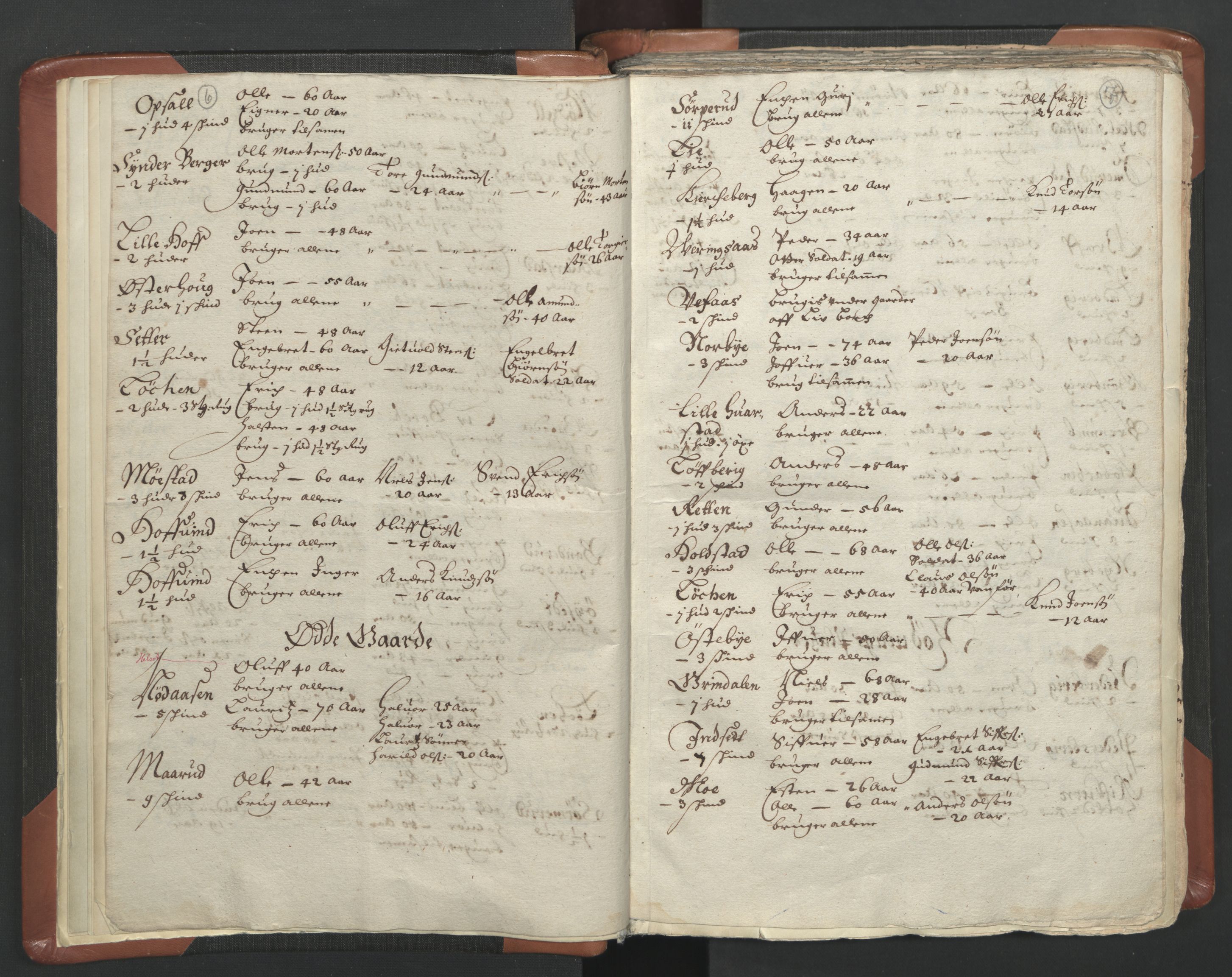 RA, Vicar's Census 1664-1666, no. 5: Hedmark deanery, 1664-1666, p. 6-7