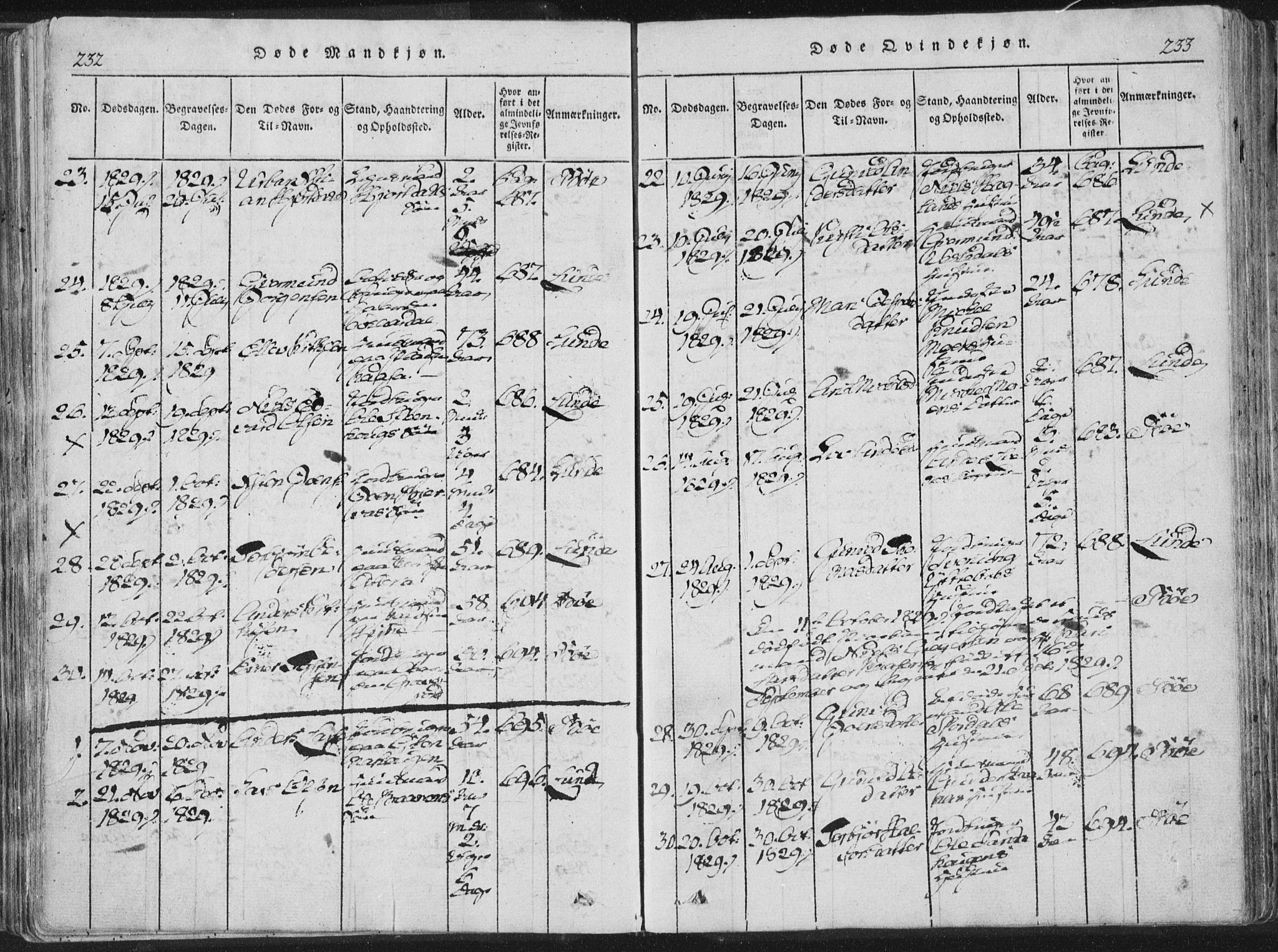 Bø kirkebøker, AV/SAKO-A-257/F/Fa/L0006: Parish register (official) no. 6, 1815-1831, p. 232-233