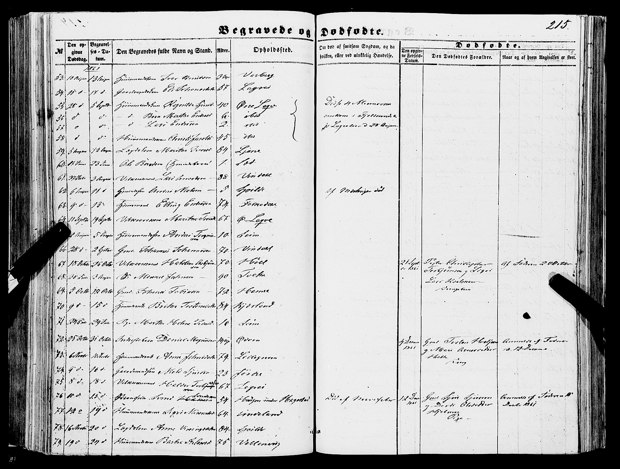 Ulvik sokneprestembete, SAB/A-78801/H/Haa: Parish register (official) no. A 13, 1853-1863, p. 215