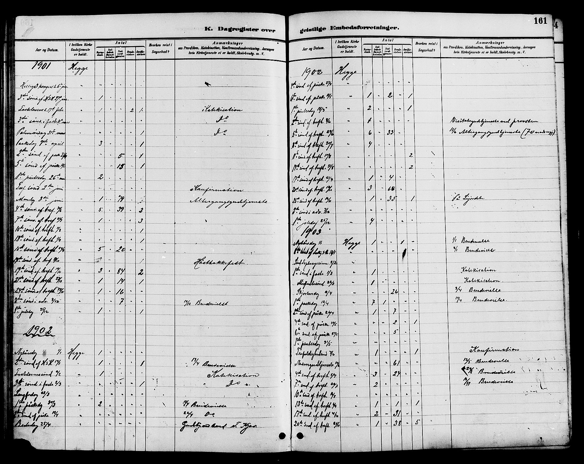 Øystre Slidre prestekontor, AV/SAH-PREST-138/H/Ha/Hab/L0004: Parish register (copy) no. 4, 1887-1907, p. 161