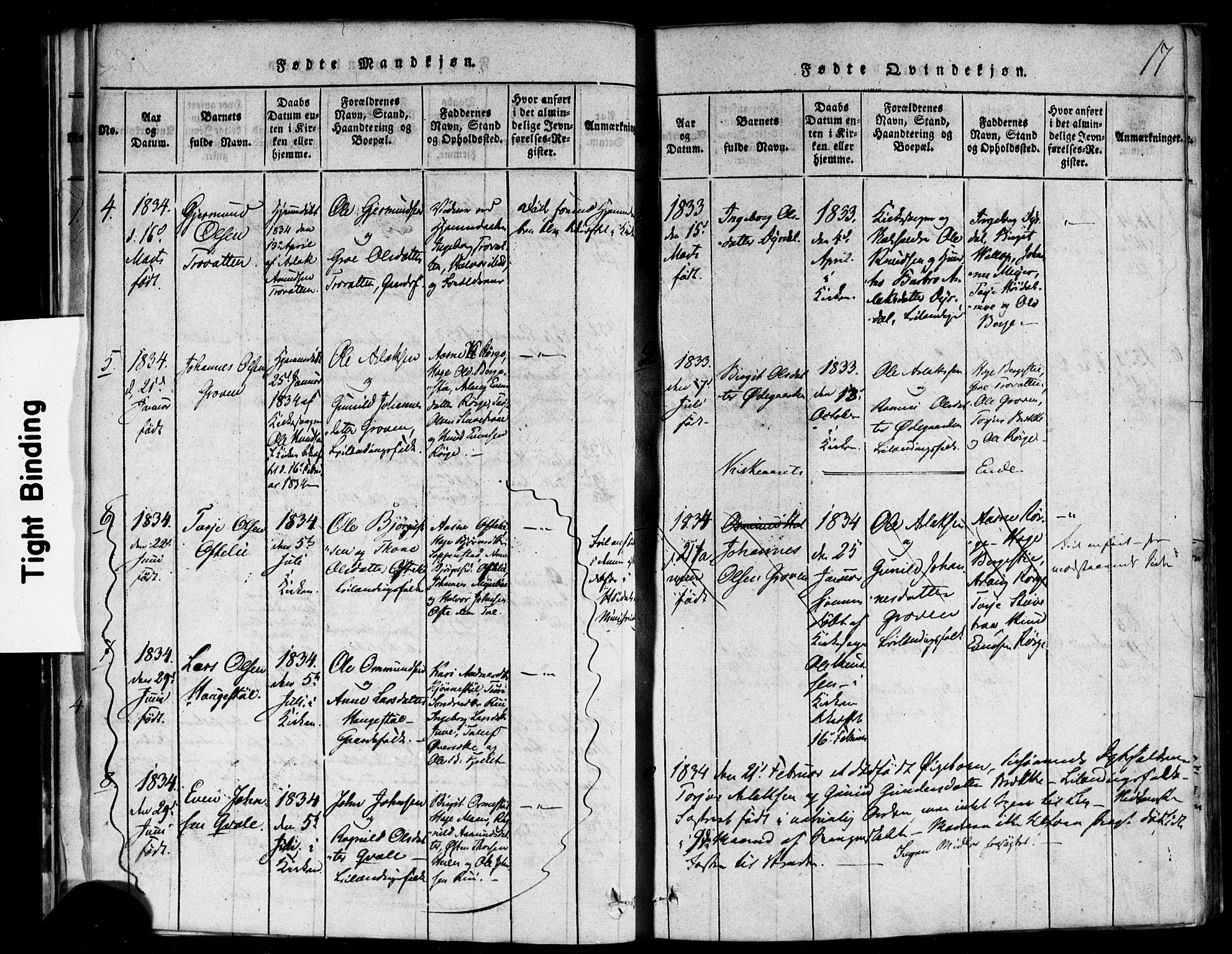 Rauland kirkebøker, SAKO/A-292/F/Fa/L0002: Parish register (official) no. 2, 1815-1860, p. 17