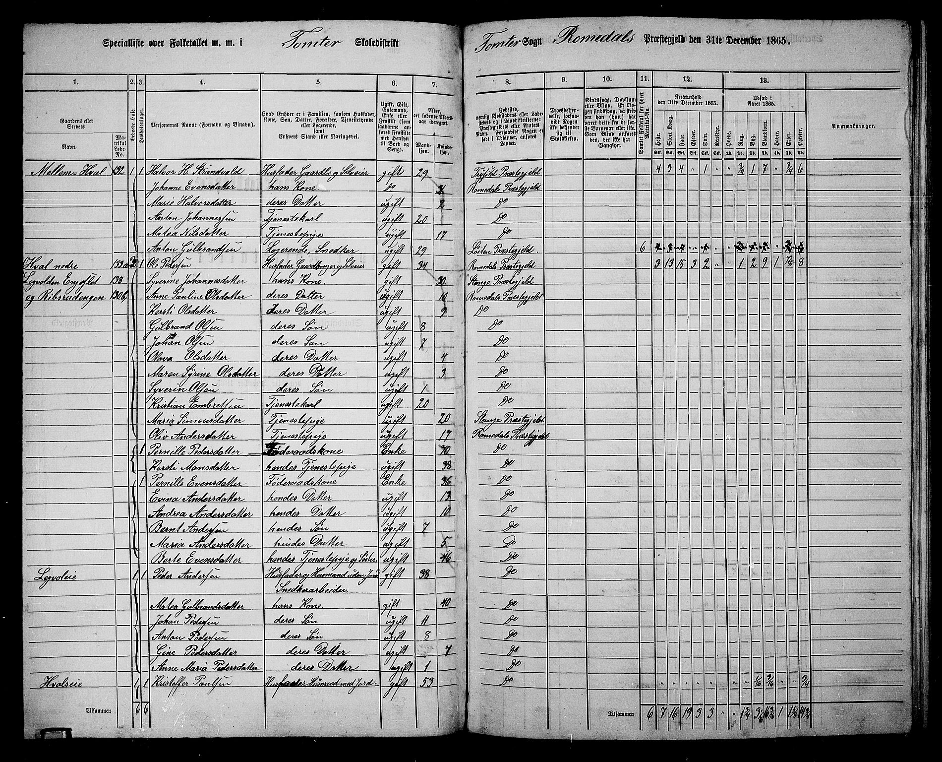 RA, 1865 census for Romedal, 1865, p. 123