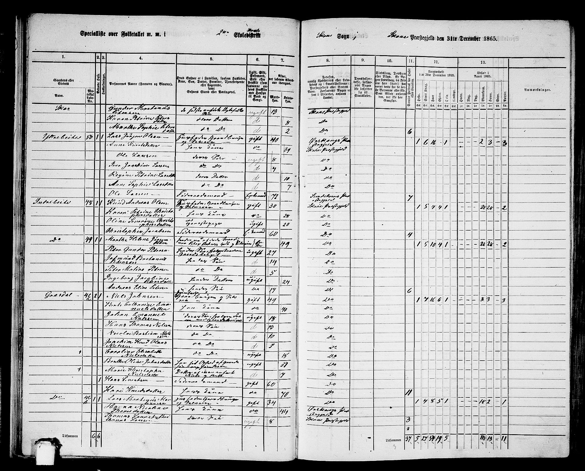 RA, 1865 census for Skodje, 1865, p. 29