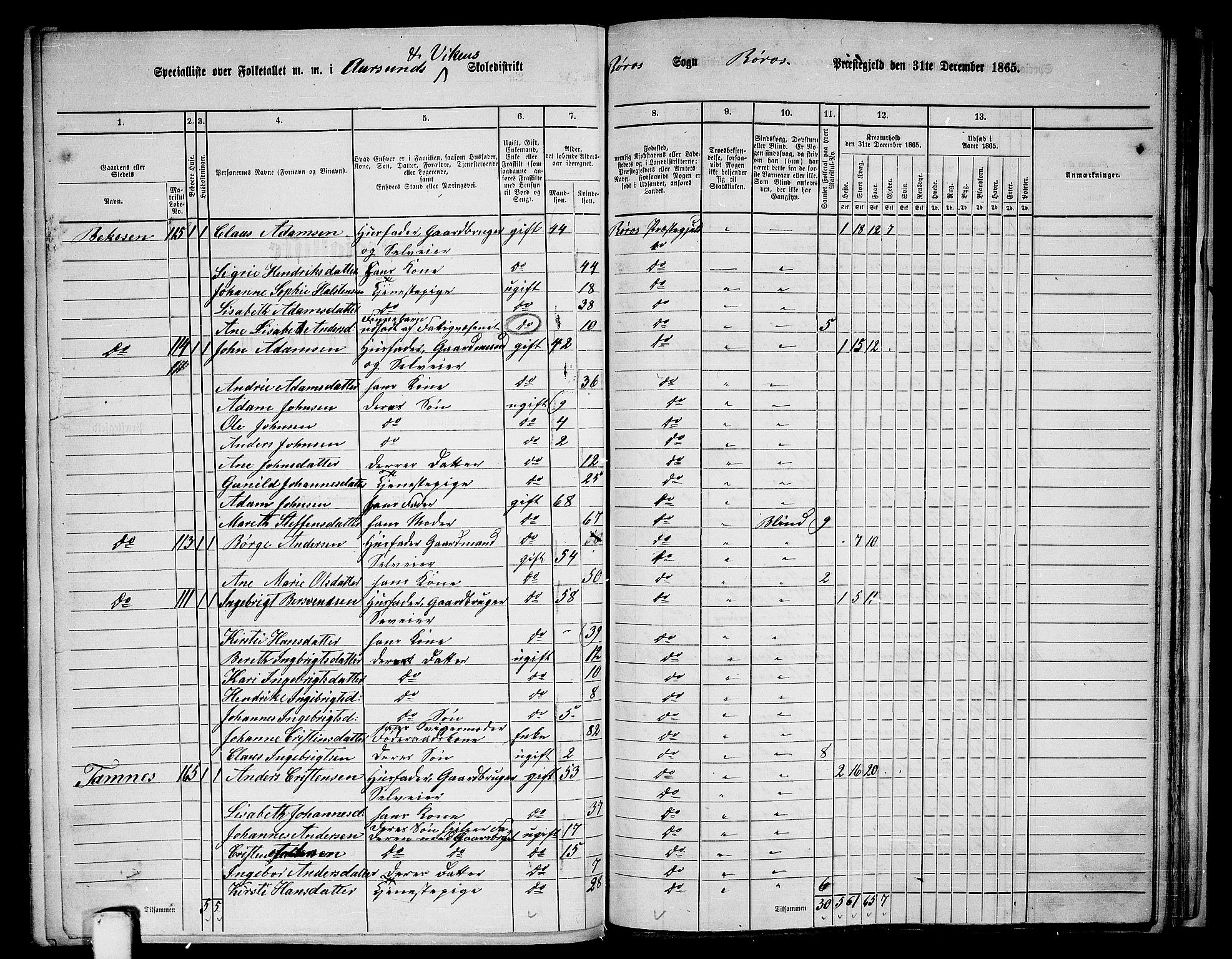 RA, 1865 census for Røros, 1865, p. 118