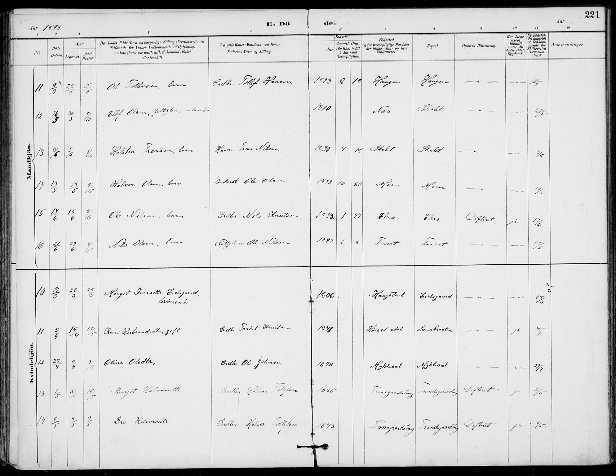 Gol kirkebøker, AV/SAKO-A-226/F/Fa/L0005: Parish register (official) no. I 5, 1887-1900, p. 221