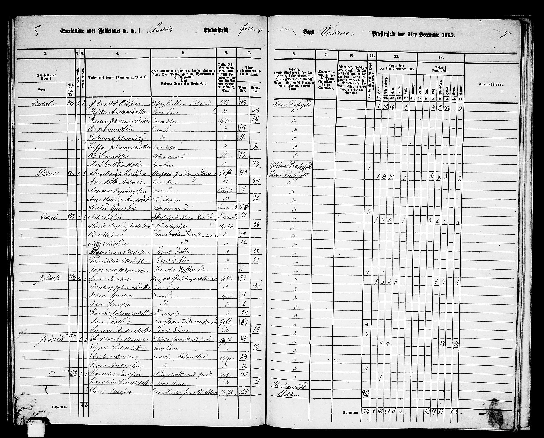 RA, 1865 census for Volda, 1865, p. 166