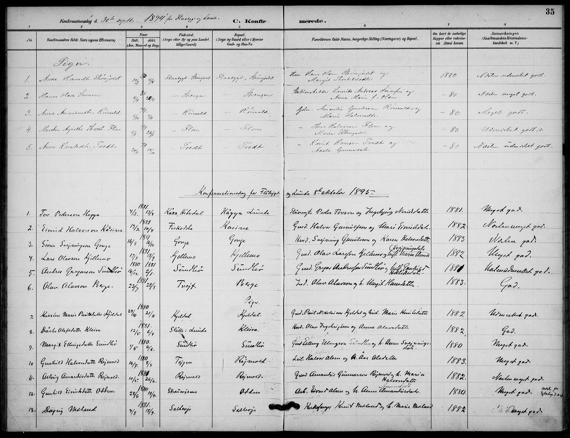 Lunde kirkebøker, SAKO/A-282/F/Fb/L0004: Parish register (official) no. II 4, 1892-1907, p. 35