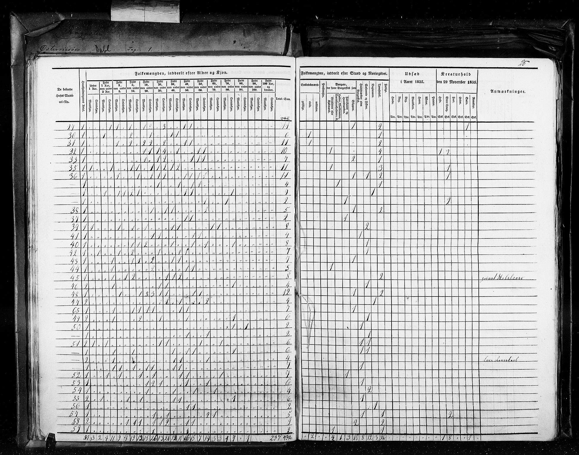 RA, Census 1835, vol. 11: Kjøpsteder og ladesteder: Risør-Vardø, 1835, p. 25