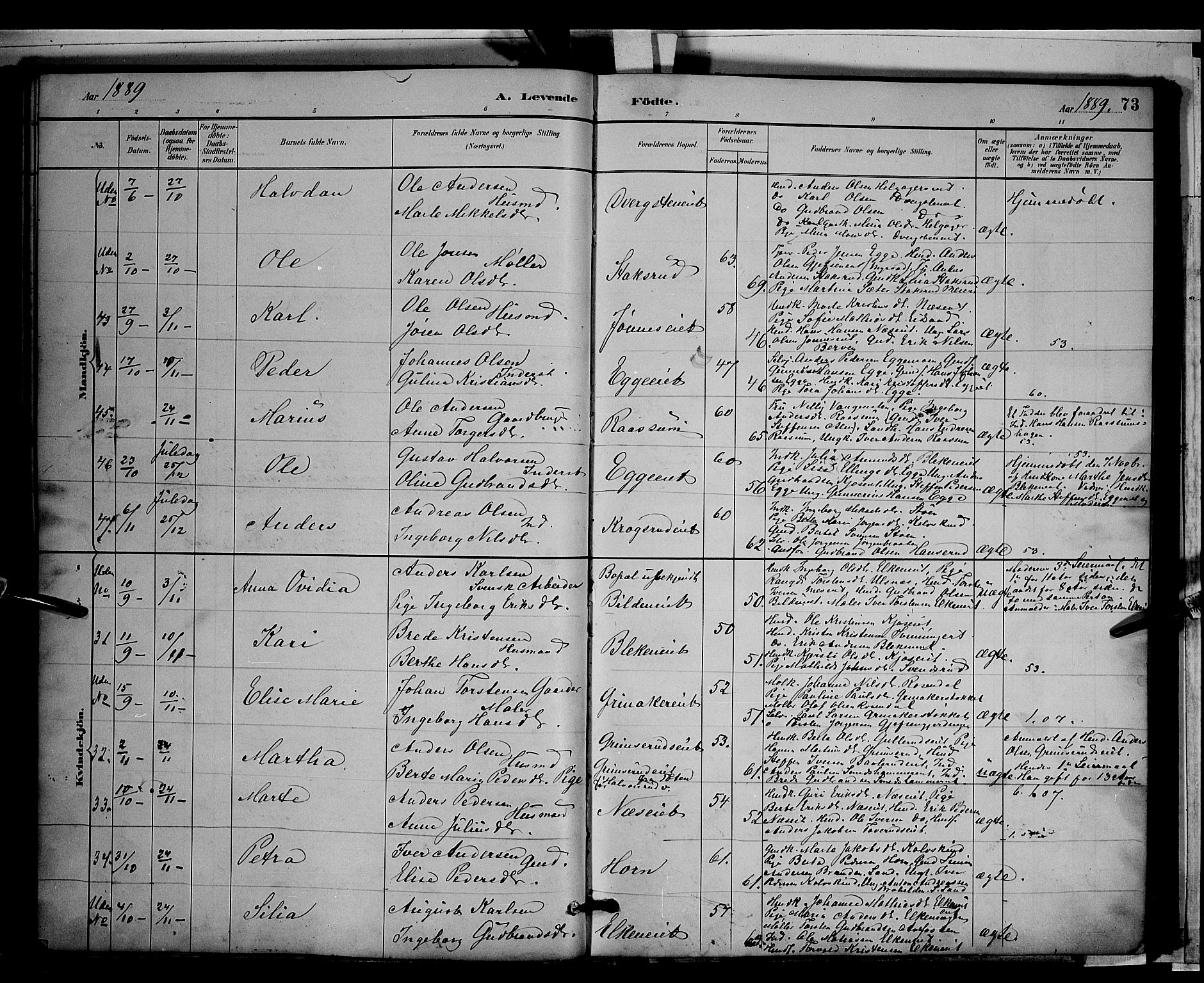 Gran prestekontor, SAH/PREST-112/H/Ha/Hab/L0003: Parish register (copy) no. 3, 1882-1890, p. 73