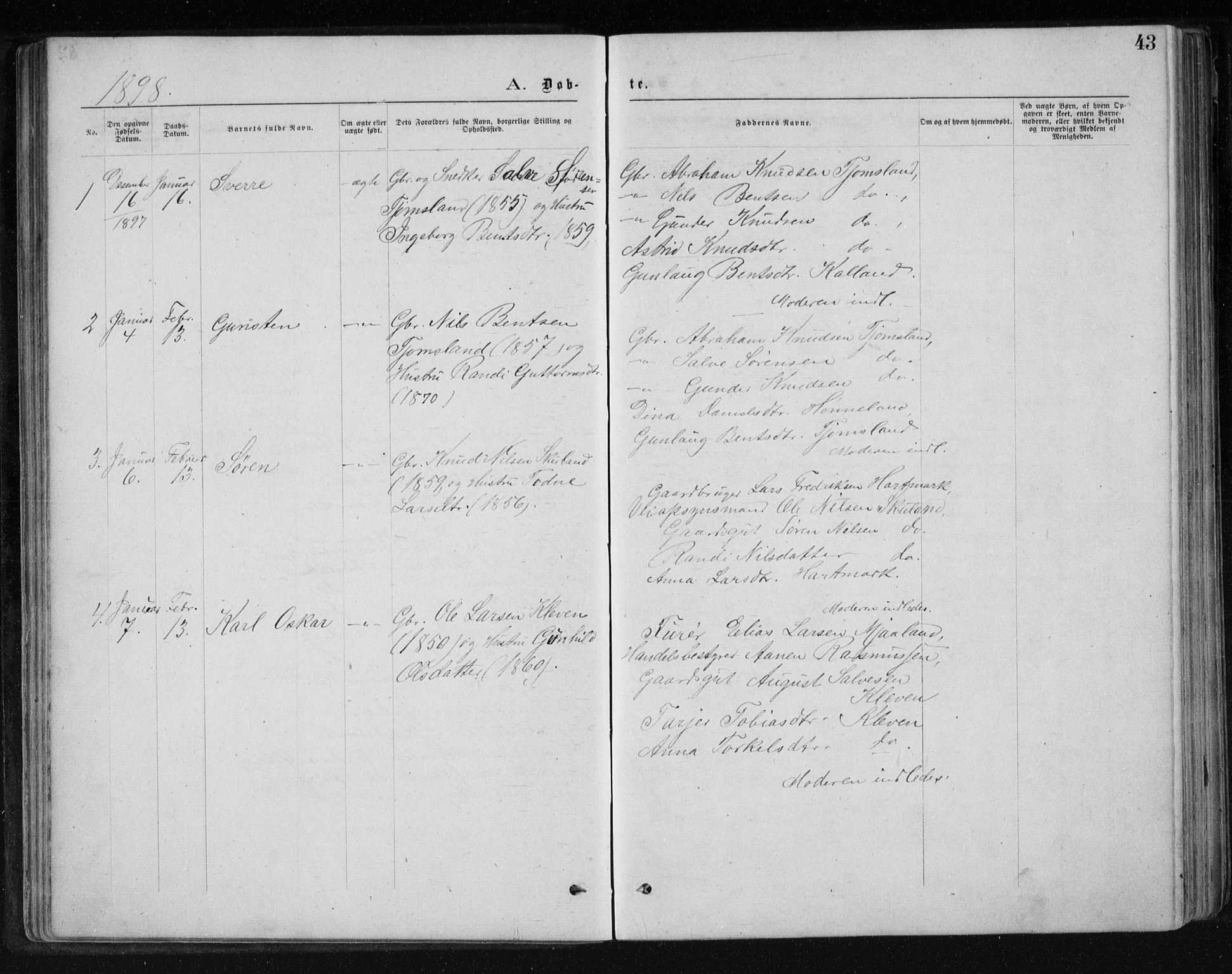 Holum sokneprestkontor, SAK/1111-0022/F/Fb/Fbb/L0003: Parish register (copy) no. B 3, 1875-1898, p. 43