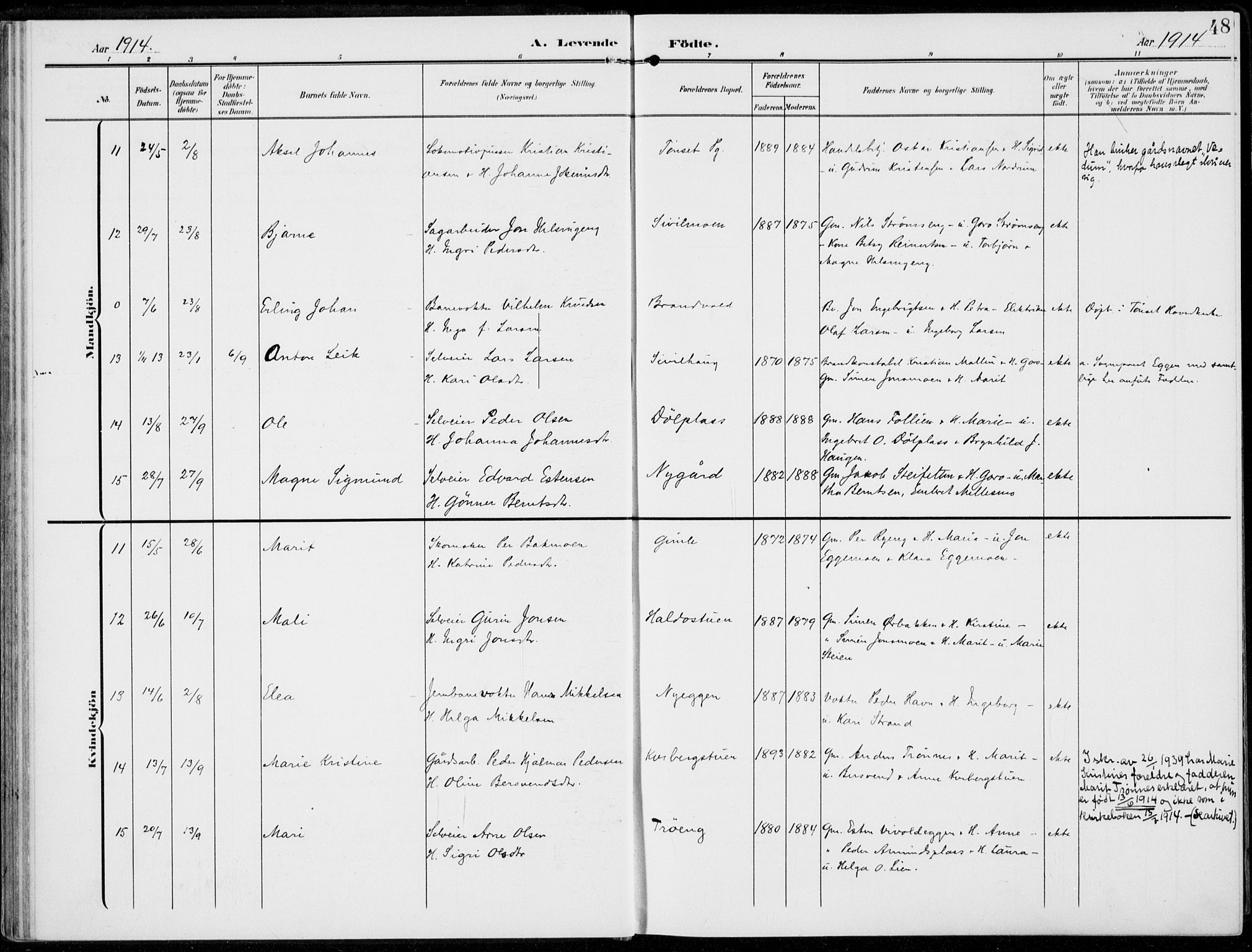 Alvdal prestekontor, AV/SAH-PREST-060/H/Ha/Haa/L0004: Parish register (official) no. 4, 1907-1919, p. 48