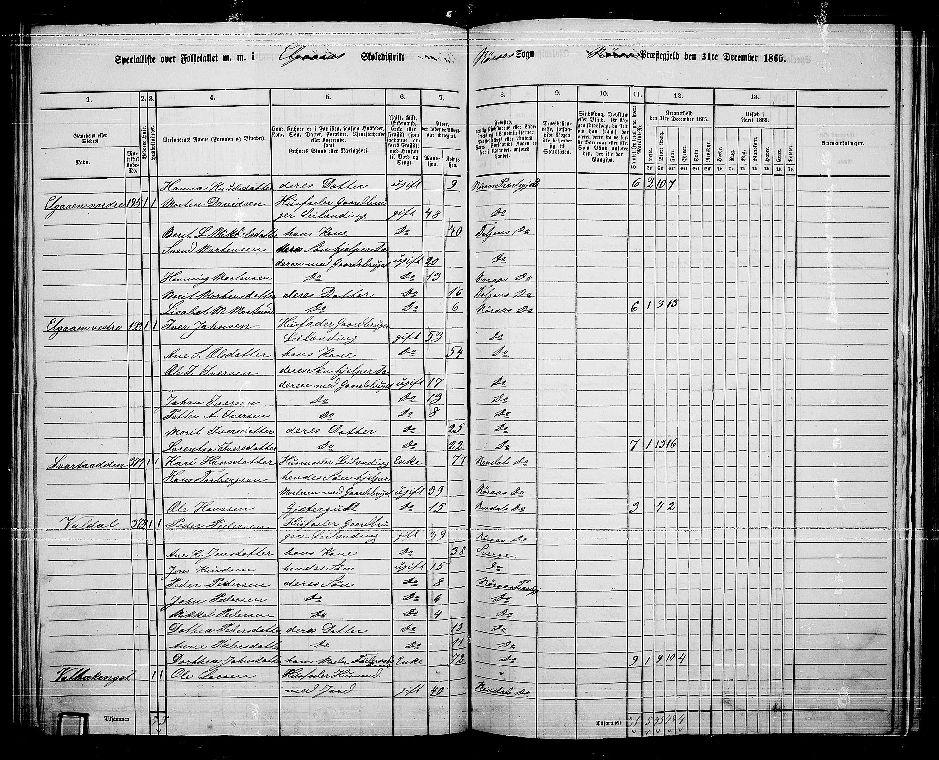 RA, 1865 census for Tolga, 1865, p. 132
