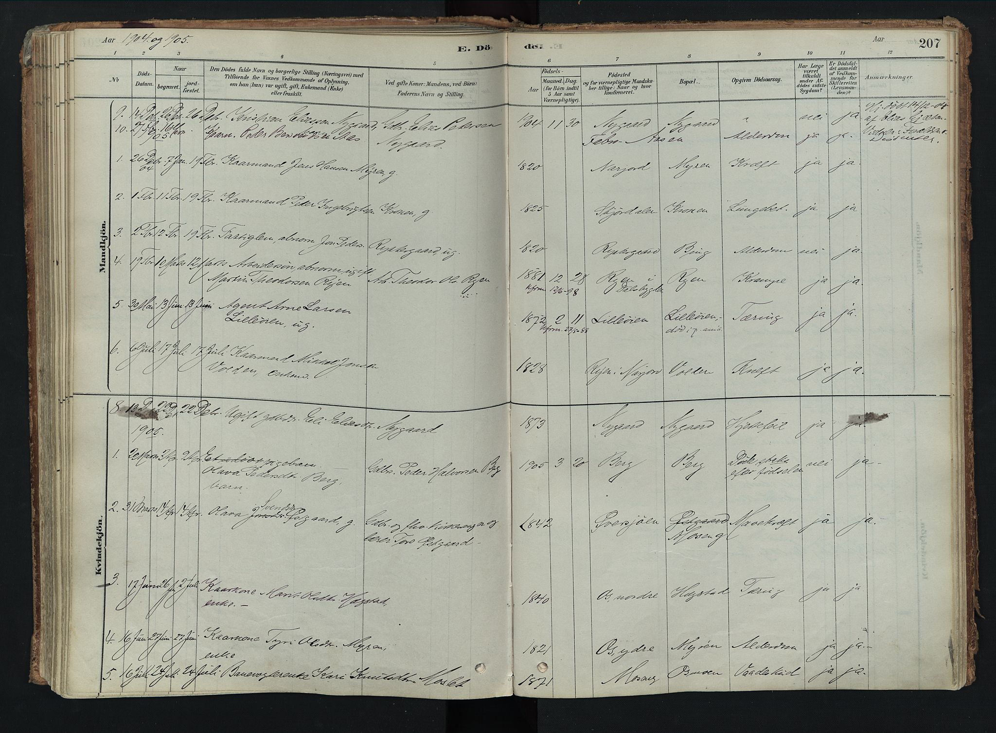 Tolga prestekontor, SAH/PREST-062/K/L0008: Parish register (official) no. 8, 1877-1910, p. 207