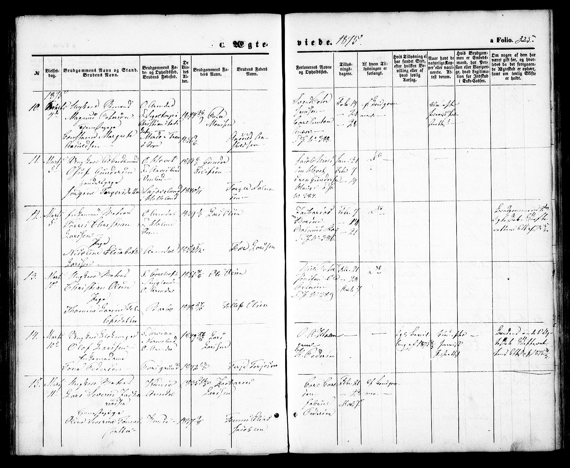 Arendal sokneprestkontor, Trefoldighet, SAK/1111-0040/F/Fa/L0007: Parish register (official) no. A 7, 1868-1878, p. 325
