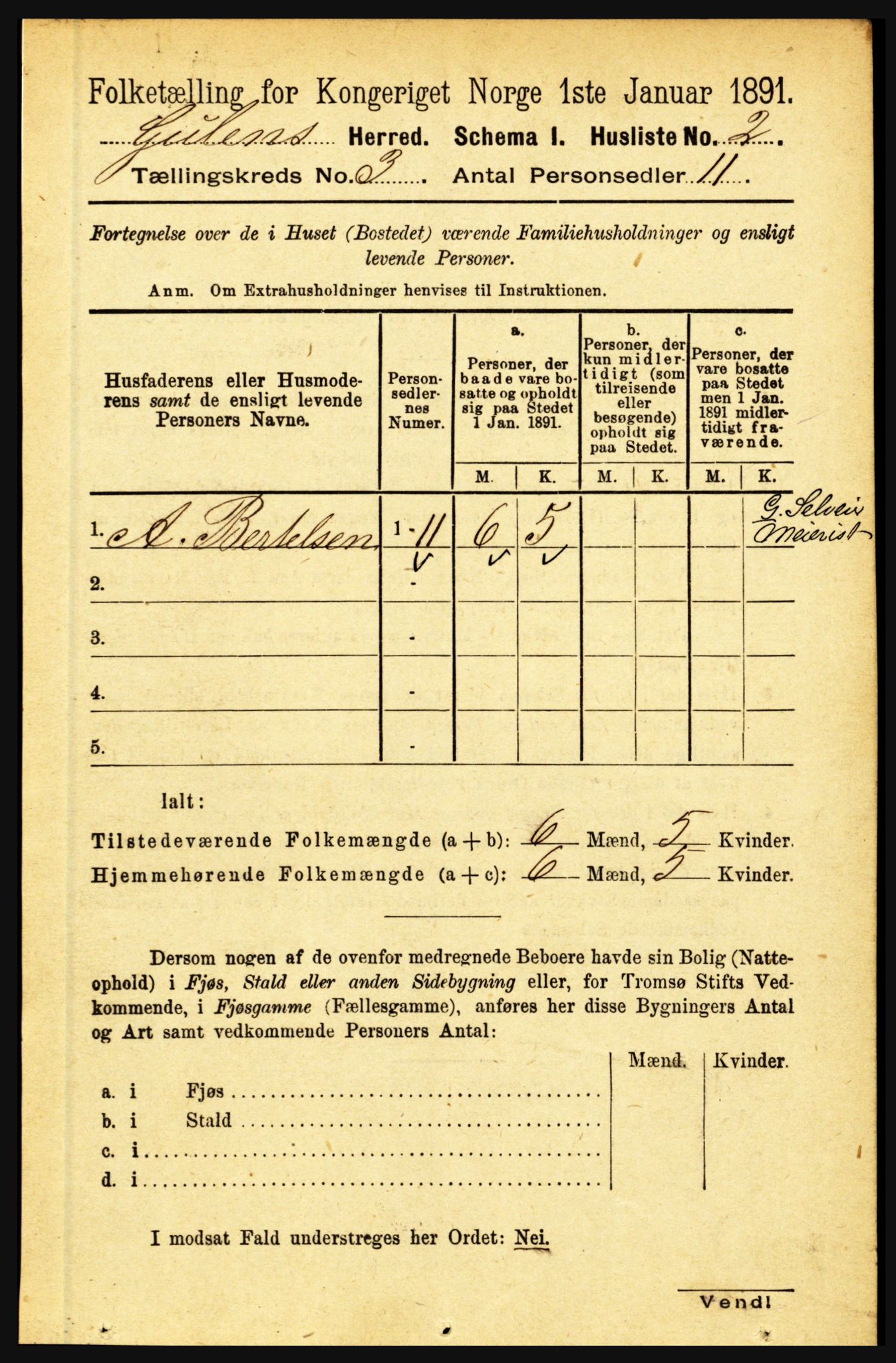 RA, 1891 census for 1411 Gulen, 1891, p. 849