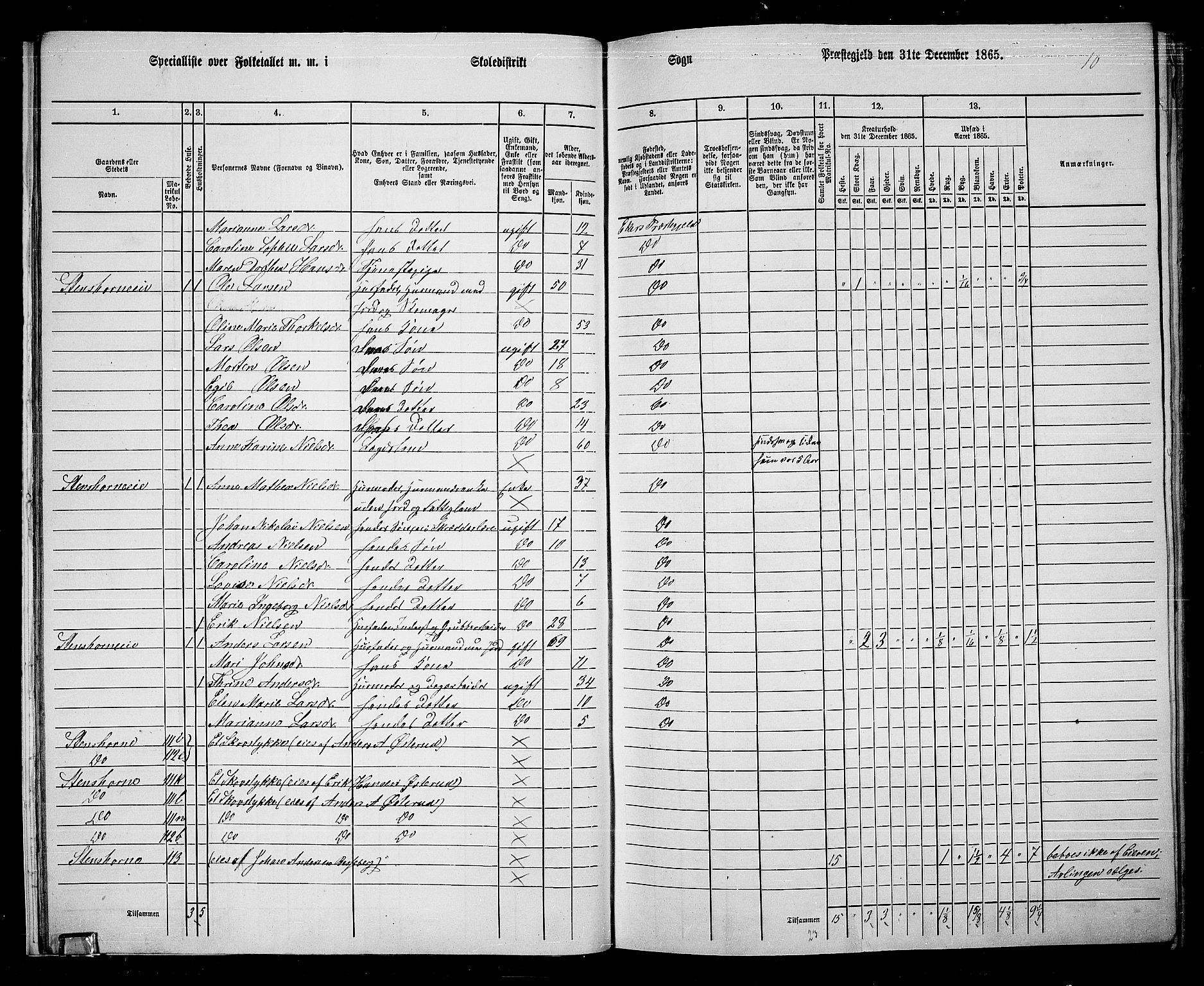 RA, 1865 census for Eiker, 1865, p. 23