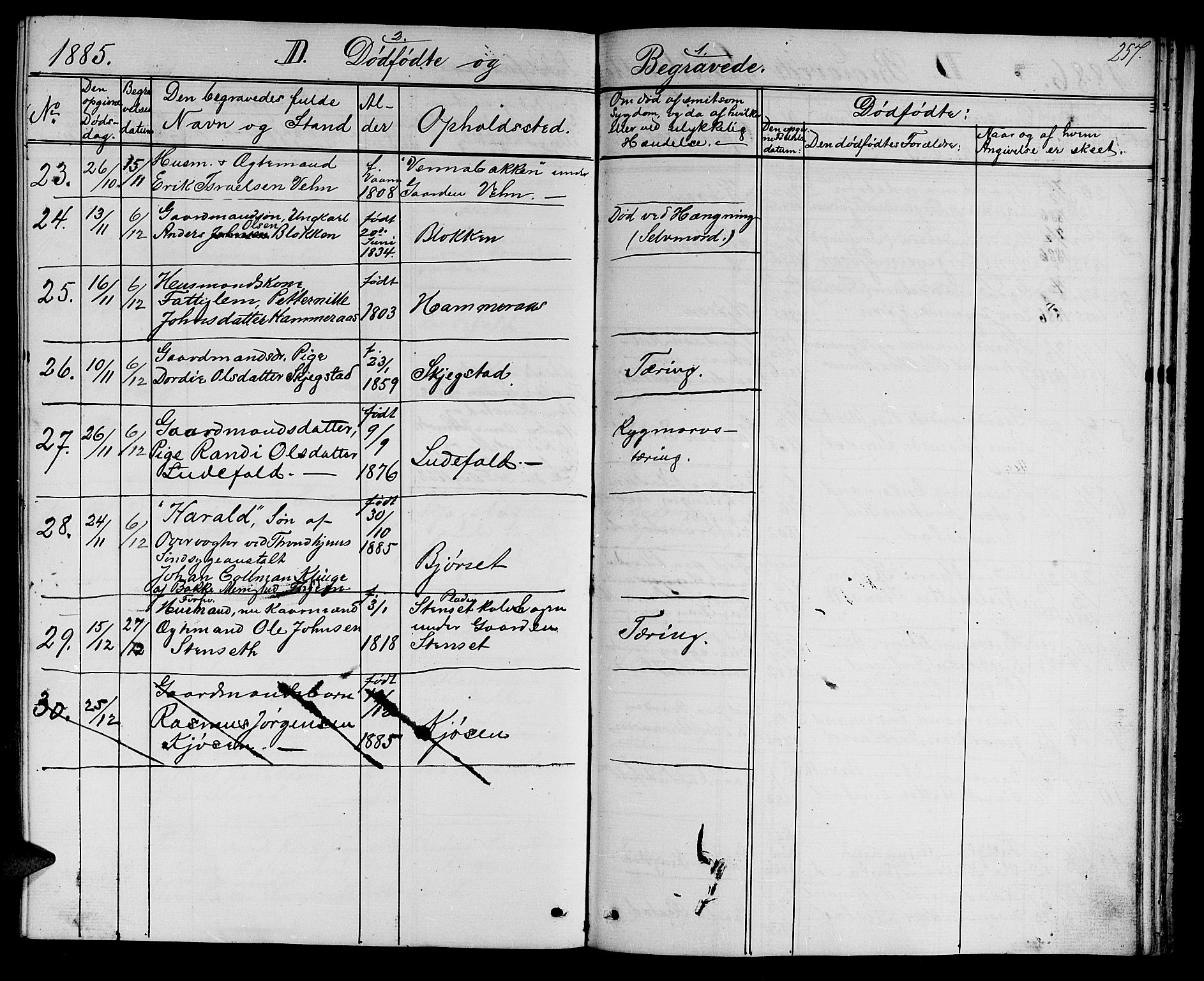 Ministerialprotokoller, klokkerbøker og fødselsregistre - Sør-Trøndelag, SAT/A-1456/694/L1131: Parish register (copy) no. 694C03, 1858-1886, p. 257