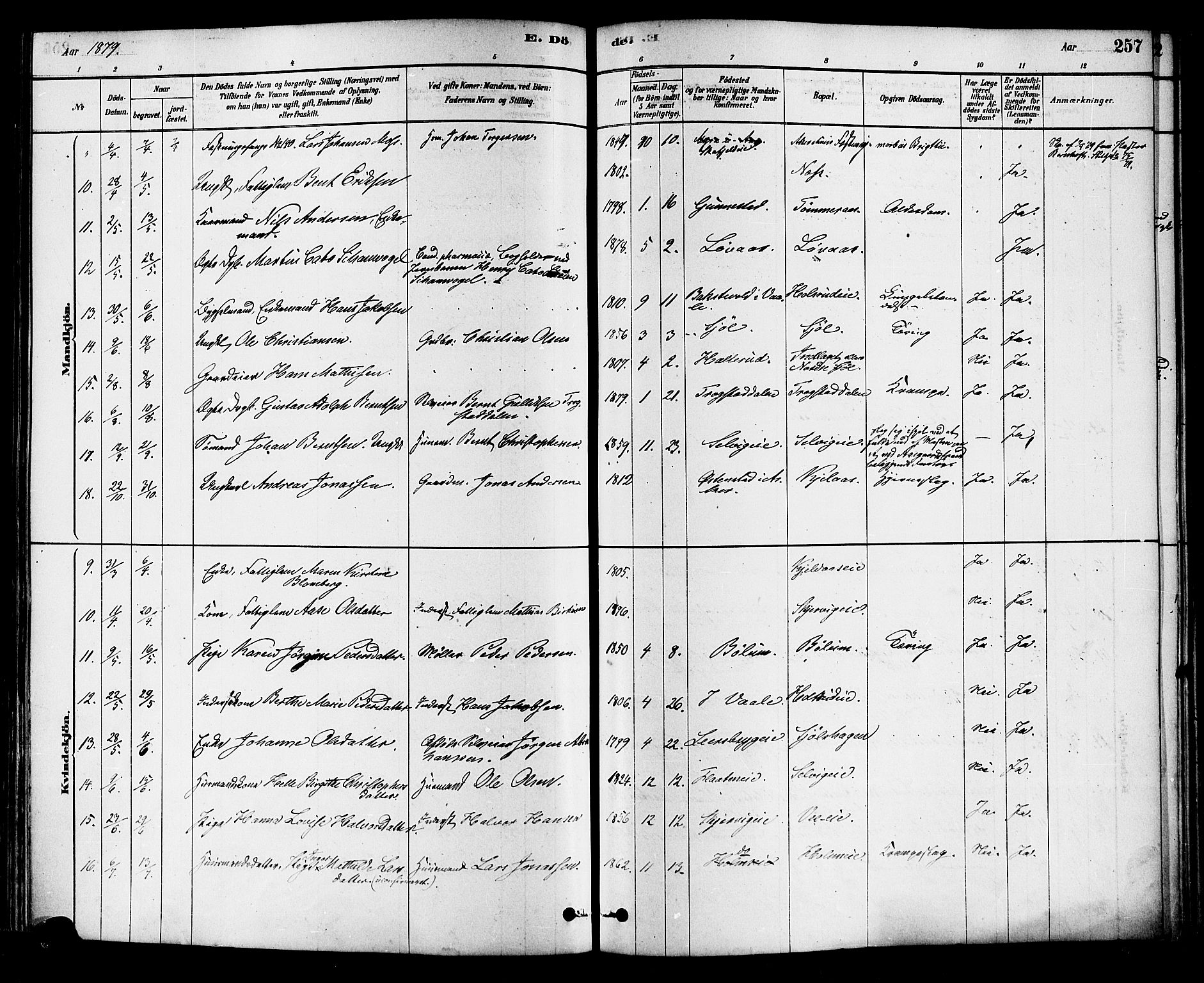 Sande Kirkebøker, SAKO/A-53/F/Fa/L0006: Parish register (official) no. 6, 1878-1888, p. 257