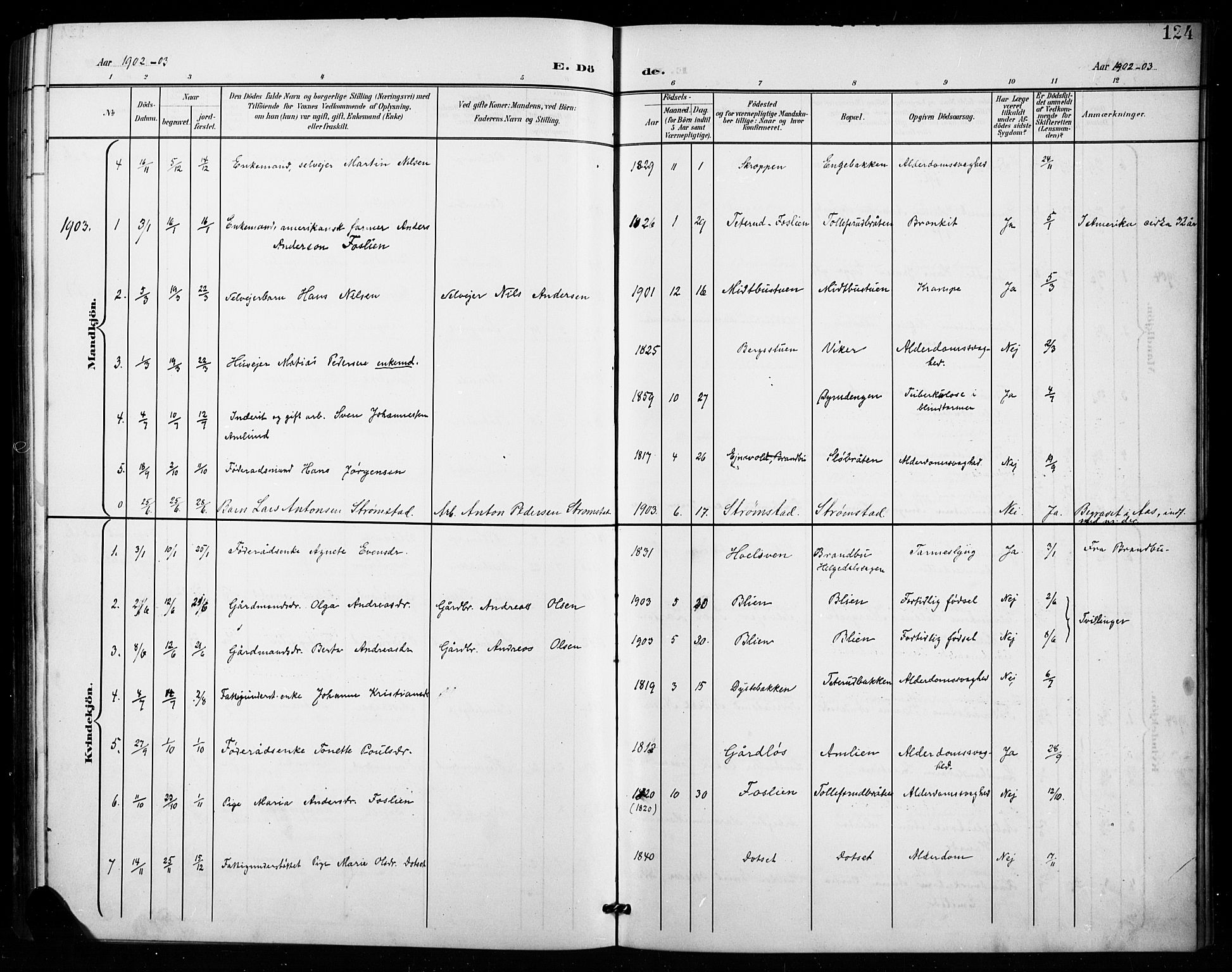 Vestre Toten prestekontor, SAH/PREST-108/H/Ha/Hab/L0016: Parish register (copy) no. 16, 1901-1915, p. 124