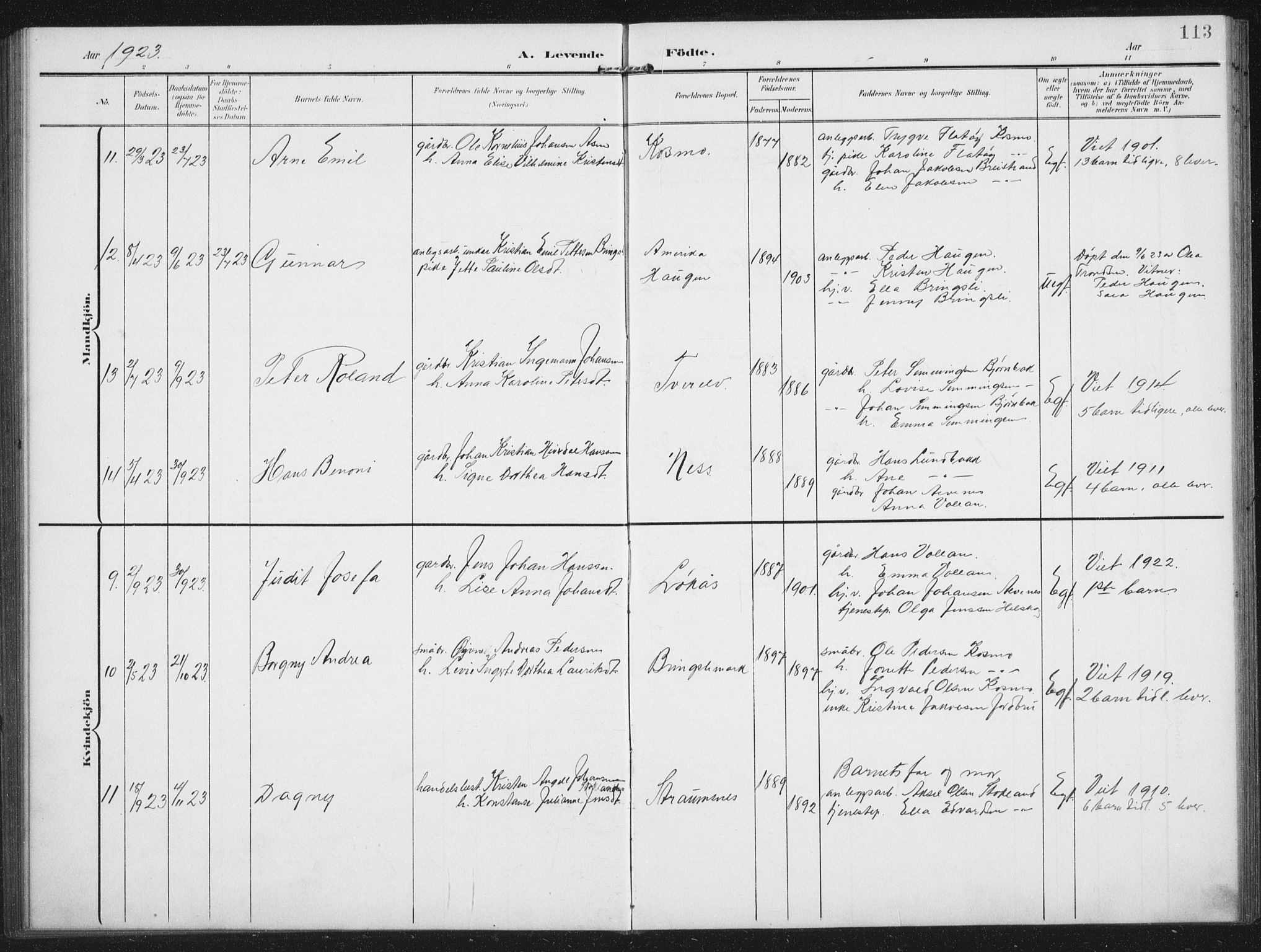 Ministerialprotokoller, klokkerbøker og fødselsregistre - Nordland, AV/SAT-A-1459/851/L0726: Parish register (copy) no. 851C01, 1902-1924, p. 113