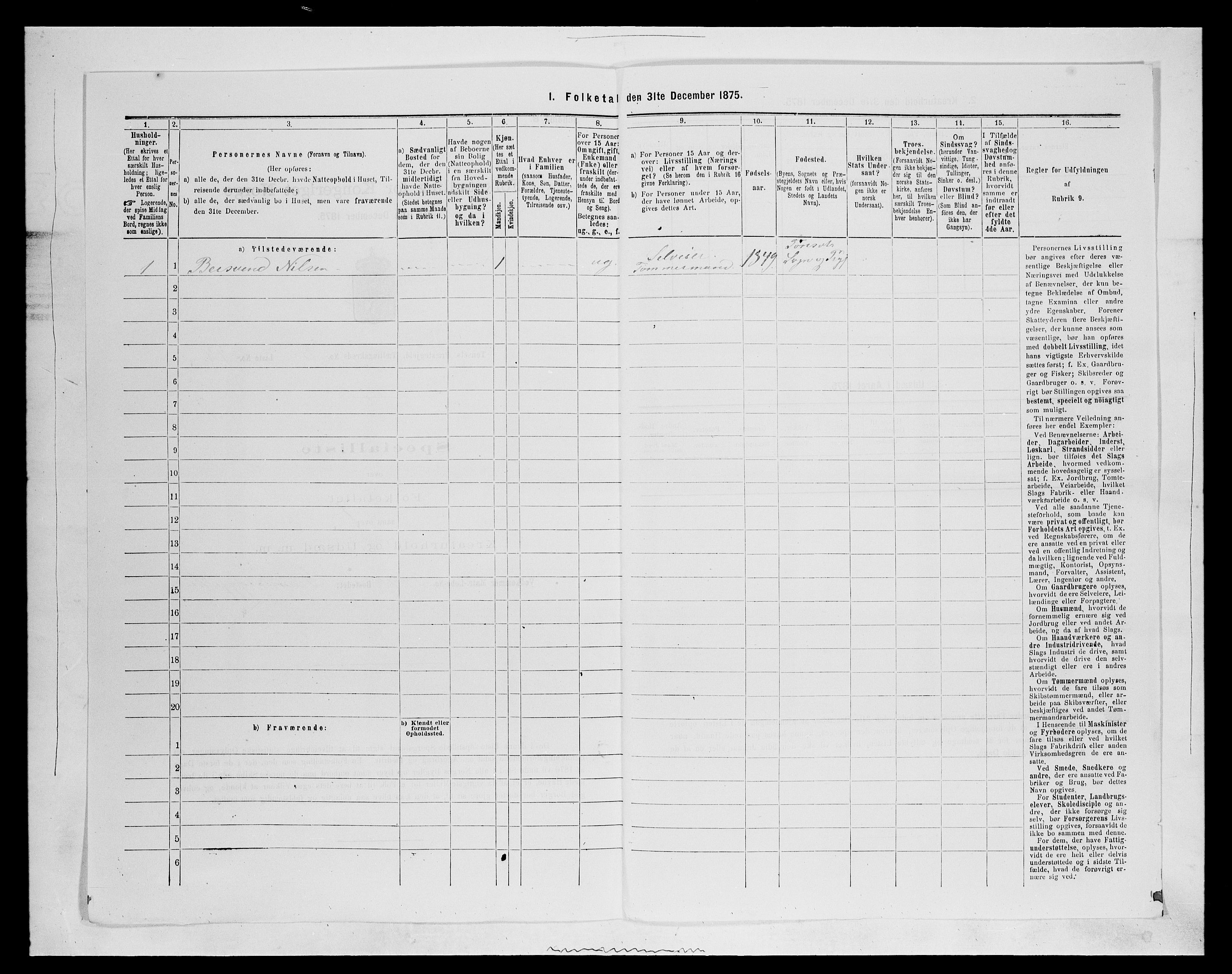 SAH, 1875 census for 0437P Tynset, 1875, p. 899