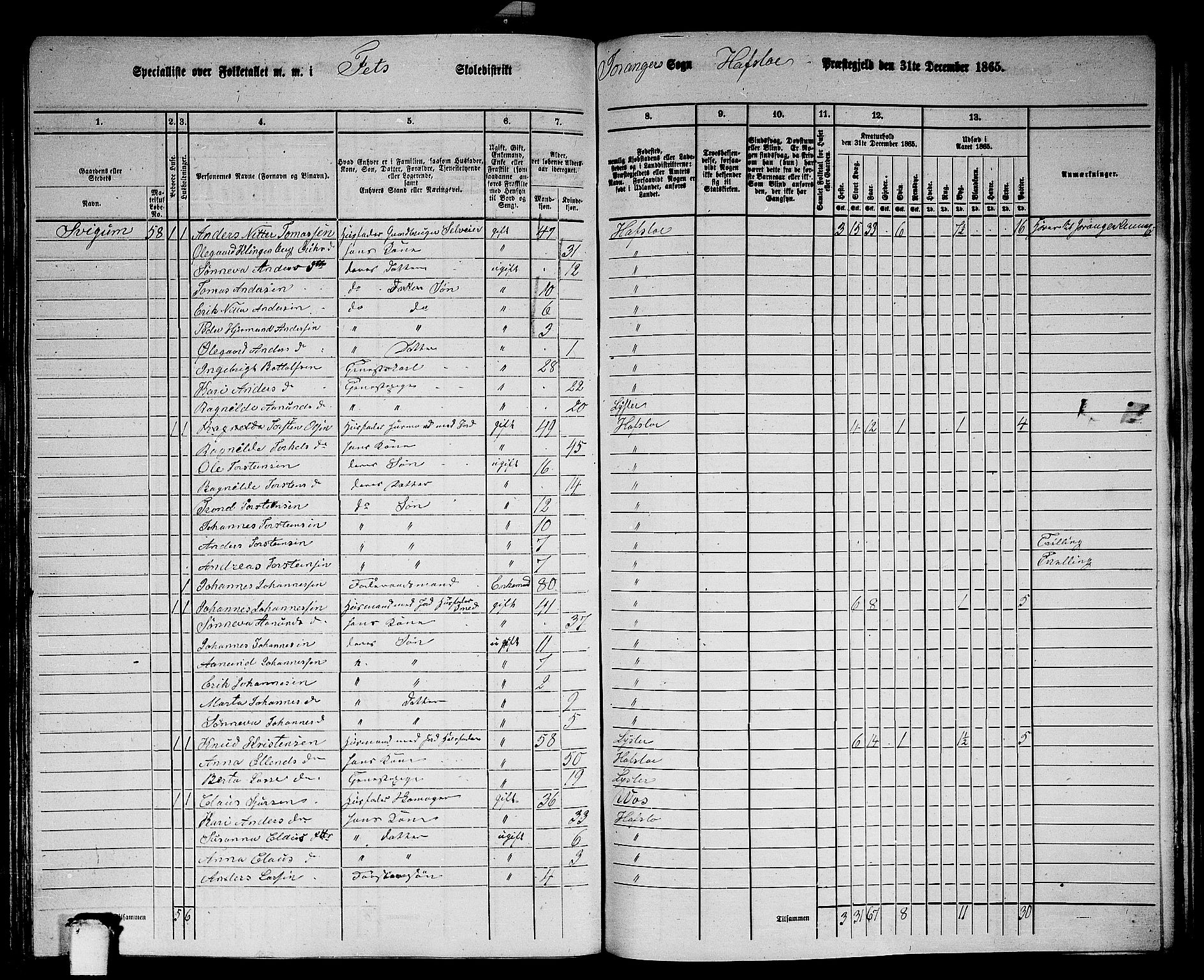 RA, 1865 census for Hafslo, 1865, p. 113